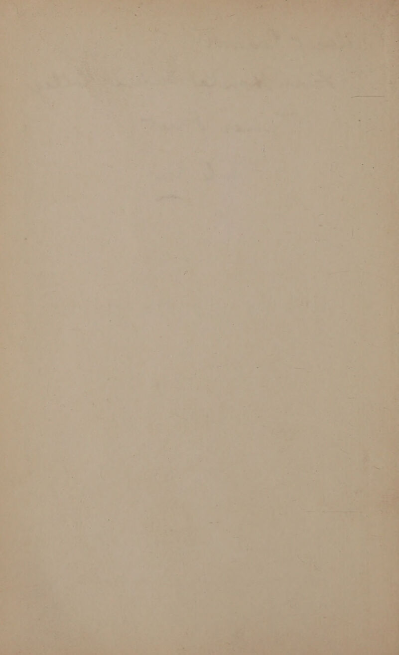  AO oa, eee ee + : a 4 rd Pe ee a ee eee