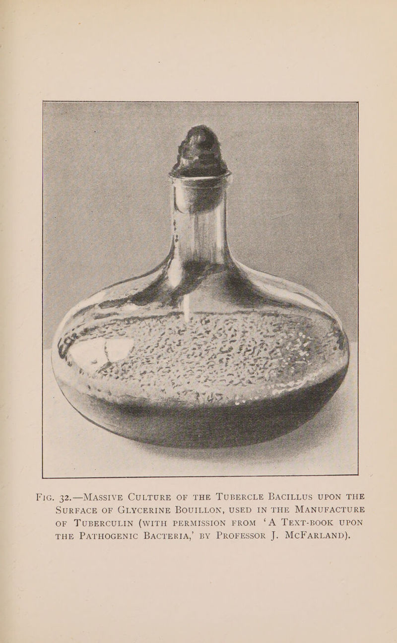 4 a faa &amp; Les) =) ica] Fie: SION FROM ‘A TEXT-BOOK UPON BY PROFESSOR J MIS (WITH PER OF TUBERCULIN THE PATHOGENIC BActr . MCFARLAND) S ? ) ERIA