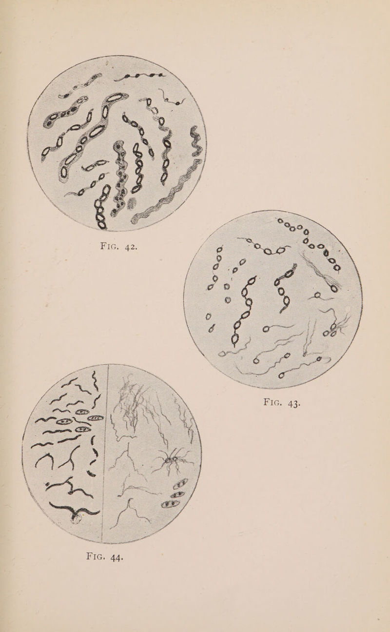 i cidactatscsheiatedeanr 43. Fic, i ae FIG. 44. ec Seg :