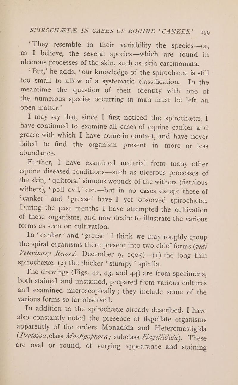 ‘They resemble in their variability the species—or, as I believe, the several species—which are found in ulcerous processes of the skin, such as skin carcinomata. ‘ But,’ he adds, ‘our knowledge of the spirocheete is still too small to allow of a systematic classification. In the meantime the question of their identity with one of the numerous species occurring in man must be left an open matter.’ I may say that, since I first noticed the spirochzte, I have continued to examine all cases of equine canker and grease with which I have come in contact, and have never failed to find the organism present in more or less abundance. . Further, I have examined material from many other equine diseased conditions—such as ulcerous processes of the skin, ‘ quittors,’ sinuous wounds of the withers (fistulous withers), ‘poll evil,’ etc.—but in no cases except those of ‘canker’ and ‘grease’ have I yet observed spirocheetz. During the past months I have attempted the cultivation of these organisms, and now desire to illustrate the various forms as seen on cultivation. 2 In ‘canker’ and ‘ grease’ I think we may roughly group the spiral organisms there present into two chief forms (vide Veterinary Record, December 9, 1905)—(r1) the long thin spirocheetee, (2) the thicker ‘stumpy ’ spirilla. The drawings (Figs. 42, 43, and 44) are from specimens, both stained and unstained, prepared from various cultures and examined microscopically ; they include some of the various forms so far observed. In addition to the spirochetz already described, I have also constantly noted the presence of flagellate organisms apparently of the orders Monadida and Heteromastigida (Protozoa, class Mastigophora ; subclass LHagellidida). These are oval or round, of varying appearance and staining