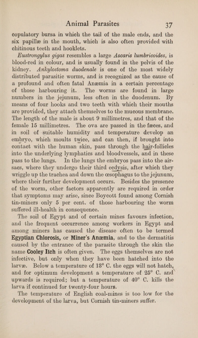 copulatory bursa in which the tail of the male ends, and the six papille in the mouth, which is also often provided with chitinous teeth and hooklets. Eustrongylus gigas resembles a large Ascaris lwmbricovdes, is blood-red in colour, and is usually found in the pelvis of the kidney. Ankylostoma duodenale is one of the most widely distributed parasitic worms, and is recognized as the cause of a profound and often fatal Anemia in a certain percentage of those harbourmg it. The worms are found in large numbers in the jejunum, less often in the duodenum. By means of four hooks and two teeth with which their mouths are provided, they attach themselves to the mucous membrane. The length of the male is about 9 millimetres, and that of the female 15 millimetres. The ova are passed in the feces, and in soil of -suitable humidity and temperature develop an embryo, which moults twice, and can then, if brought into contact with the human skin, pass through the hair-follicles into the underlying lymphatics and bloodvessels, and in these pass to the lungs. In the lungs the embryos pass into the air- sacs, where they undergo their third ecdysis, after which they wriggle up the trachea and down the cesophagus to the jejunum, where their further development occurs. Besides the presence of the worm, other factors apparently are required in order that symptoms may arise, since Boycott found among Cornish tin-miners only 5 per cent. of those harbouring the worm suffered ill-health in consequence. The soil of Egypt and of certain mines favours infection, and the frequent occurrence among workers in Egypt and among miners has caused the disease often to be termed Egyptian Chlorosis, or Miner’s Anemia, and to the dermatitis caused by the entrance of the parasite through the skin the name Cooley Itch is often given. The eggs themselves are not infective, but only when they have been hatched into the larve. Below a temperature of 13° C. the eggs will not hatch, and for optimum development a temperature of 25° C. and upwards is required; but a temperature of 40° C. kills the larva if continued for twenty-four hours. The temperature of English coal-mines is too low for the development of the larva, but Cornish tin-miners suffer.