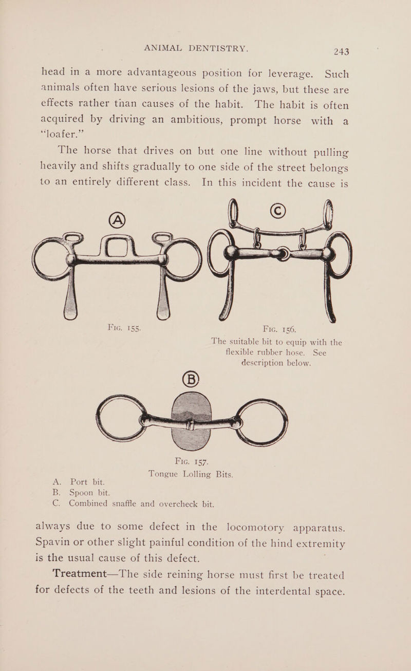 head in a more advantageous position for leverage. Such animals often have serious lesions of the jaws, but these are effects rather than causes of the habit. The habit is often acquired by driving an ambitious, prompt horse with a “loafer.” The horse that drives on but one line without pulling heavily and shifts gradually to one side of the street belongs Bic. 155. FIG. 156. The suitable bit to equip with the flexible rubber hose. See description below. Tongue Lolling Bits. Pe erent bit B. Spoon: bit. C. Combined snaffle and overcheck bit. always due to some defect in the locomotory apparatus. Spavin or other slight painful condition of the hind ERS is the usual cause of this defect. Treatment—The side reining horse must first be treated for defects of the teeth and lesions of the interdental space.