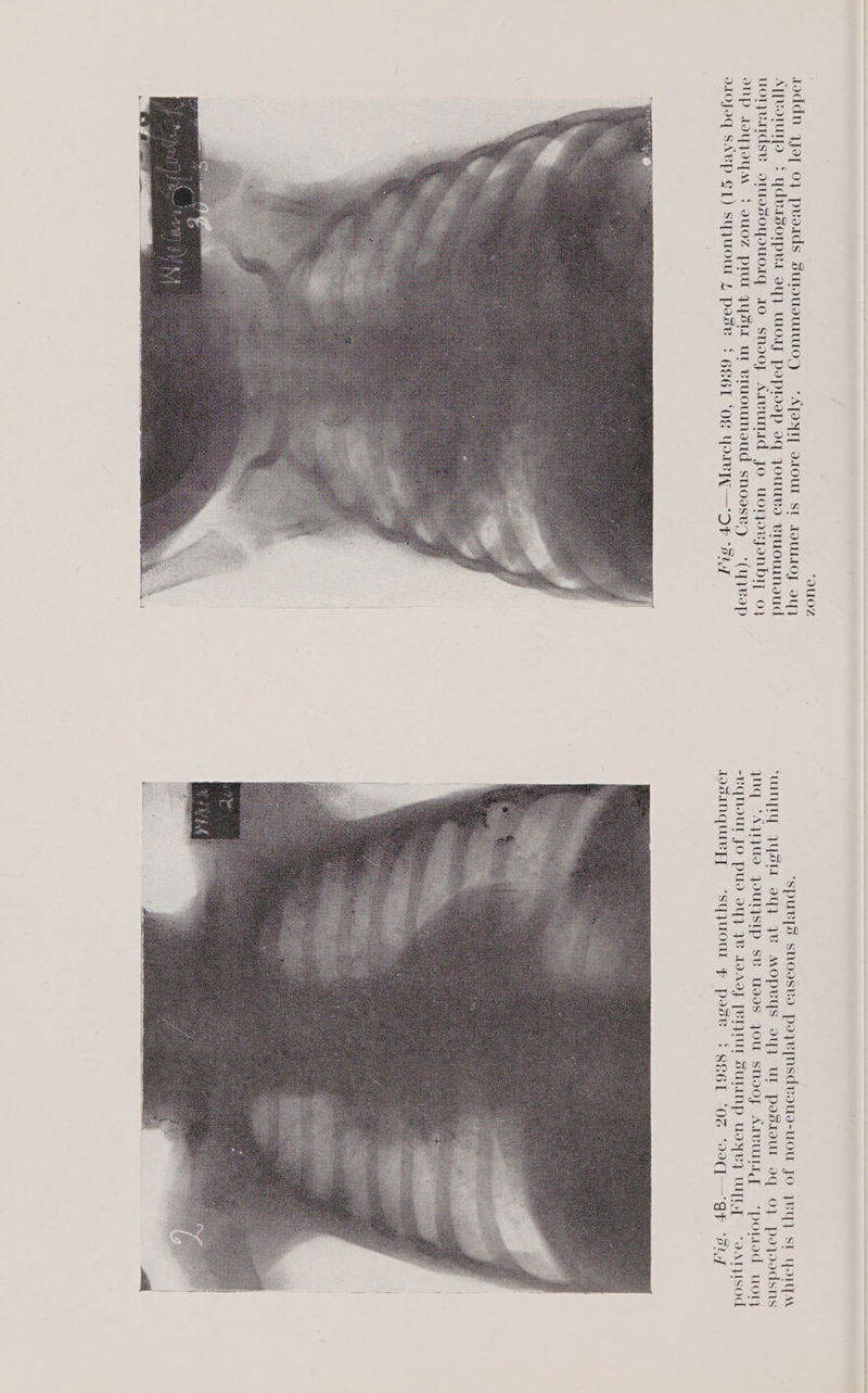 “QUOZ pury[s snoosed poyvynsdvous-uou JO ywVYy St OUpAr “UNI, JULIE oY] Ye MOpPRYS oy} UL possauUT oq 0} PojJoodsns ynq *AVTUS JOUTSIP SB Uses JOU Shoo; Areuttg “potod uoy -UqnouL JO pUod oY) 7B JoAVJ [BIVIUL SULINP UoyeZ WALT ‘oATyISOd IosINqUvET ‘“SYJUOUL F psese { SEBEL ‘OZ ‘090qQ—gFr ‘FY ot