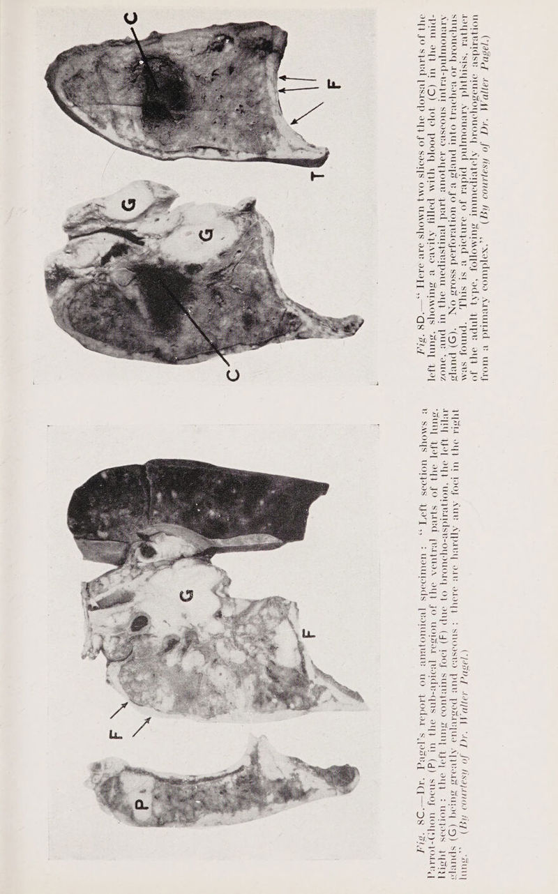 (290g 69})D 4{ “4q fo hsajanoo fig) . sunt WPSLL OY] UL POOF AUB ATPALLL ov dO] FSNOVsvo PUL PodAL[UO AT]VO WL SULIG (9) spurvyps IVIL JoT 9Yy “Uoreardse-oyouorq 0} onp (4) oof suTeyUoS Suny yop oy} + UOLOoS YY] ‘OUD Jot OYA JO Syed [RQUA oY} JO UOLSeL [BoIde-qns oy} UL (g) SNOOJ UOY*)-JOMIU | Bo SMOYS UOL9IS jo] ,, + Uoutfoods [voruO}yuUR UO YOdet Sfosvq “I—D8 ‘Fly S