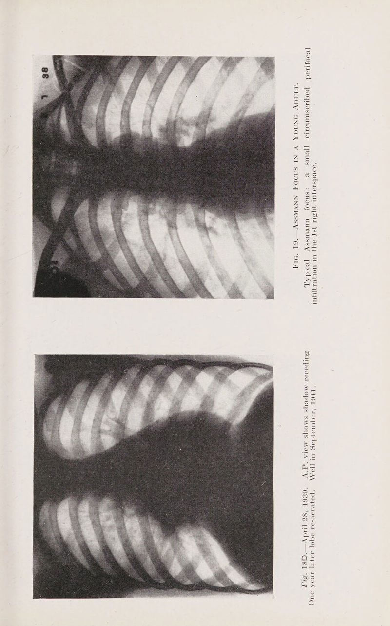 : ‘oovds.toJUL JYSLE YS 9} UL UOTPRAQ Ul “LEG “oqutoydog UL [JoA, ‘poyWlgU-94 VOT LoyV] Ava UC [voofitod = poqtiosumodtio [peuIs Bi shoofy uuBUssSy [wold T, SULPdIL MOPBYS SMOYS MITA “G’°Y “6EGL ‘8a [MAW— Gs ‘FIT SV— 61 ‘Oly A004 NNVINS u