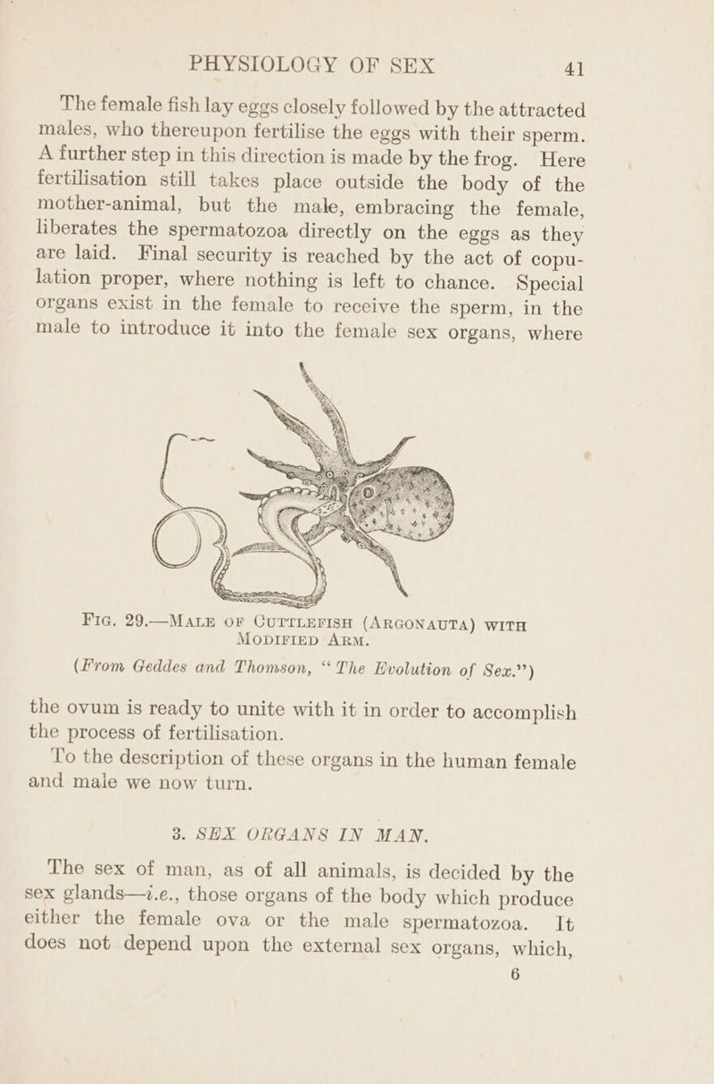 The female fish lay eggs closely followed by the attracted males, who thereupon fertilise the eggs with their sperm. A further step in this direction is made by the frog. Here fertilisation still takes place outside the body of the mother-animal, but the male, embracing the female, liberates the spermatozoa directly on the eggs as they are laid. Final security is reached by the act of copu- lation proper, where nothing is left to chance. Special organs exist in the female to receive the sperm, in the male to introduce it into the female sex organs, where (From Geddes and Thomson, ‘‘ The Hvolution of Sex,’7) the ovum is ready to unite with it in order to accomplish the process of fertilisation. To the description of these organs in the human female and male we now turn. 3. SEX ORGANS IN MAN. The sex of man, as of all animals, is decided by the sex glands—z.e., those organs of the body which produce either the female ova or the male spermatozoa. It does not depend upon the external sex organs, which, 6