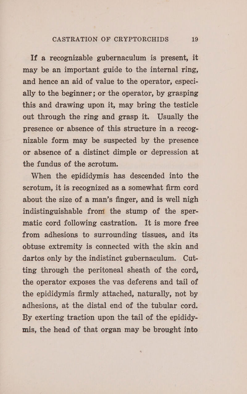 If a recognizable gubernaculum is present, it may be an important guide to the internal ring, and hence an aid of value to the operator, especi- ally to the beginner; or the operator, by grasping this and drawing upon it, may bring the testicle out through the ring and grasp it. Usually the presence or absence of this structure in a recog- nizable form may be suspected by the presence or absence of a distinct dimple or depression at the fundus of the scrotum. When the epididymis has descended into the scrotum, it is recognized as a somewhat firm cord about the size of a man’s finger, and is well nigh indistinguishable from the stump of the sper- matic cord following castration. It is more free from adhesions to surrounding tissues, and its obtuse extremity is connected with the skin and dartos only by the indistinct gubernaculum. Cut- ting through the peritoneal sheath of the cord, the operator exposes the vas deferens and tail of the epididymis firmly attached, naturally, not by adhesions, at the distal end of the tubular cord. By exerting traction upon the tail of the epididy- mis, the head of that organ may be brought into