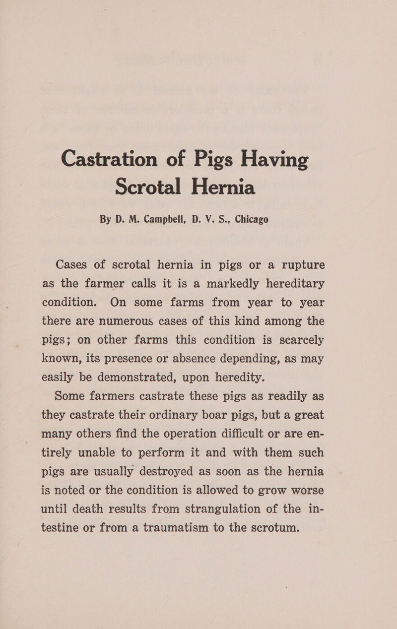 Castration of Pigs Having Scrotal Hernia By D. M. Campbell, D. V. S., Chicago Cases of scrotal hernia in pigs or a rupture as the farmer calls it is a markedly hereditary condition. On some farms from year to year there are numerous cases of this kind among the pigs; on other farms this condition is scarcely known, its presence or absence depending, as may easily be demonstrated, upon heredity. Some farmers castrate these pigs as readily as they castrate their ordinary boar pigs, but a great many others find the operation difficult or are en- tirely unable to perform it and with them such pigs are usually destroyed as soon as the hernia is noted or the condition is allowed to grow worse until death results from strangulation of the in- testine or from a traumatism to the scrotum.