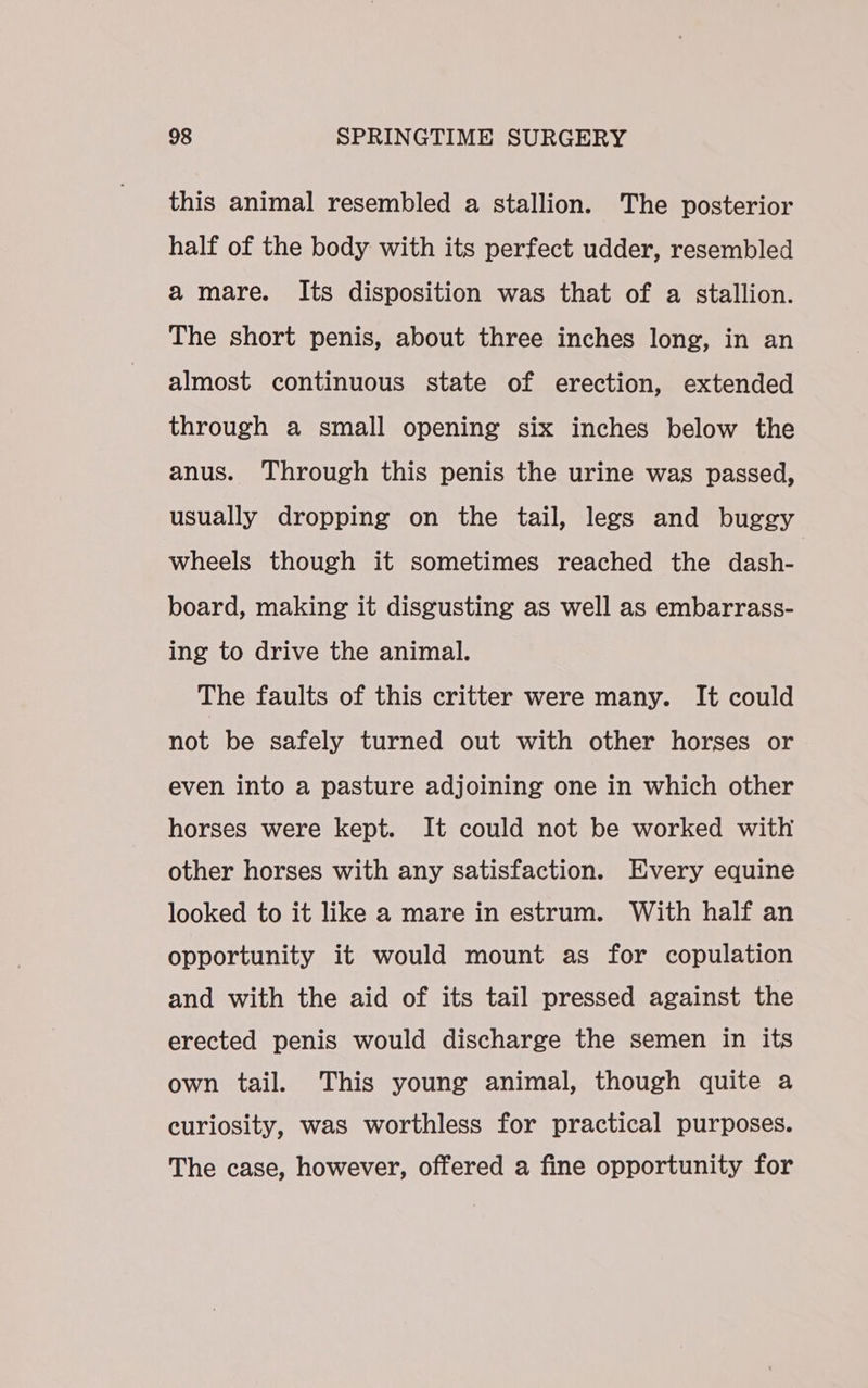 this animal resembled a stallion. The posterior half of the body with its perfect udder, resembled a mare. Its disposition was that of a stallion. The short penis, about three inches long, in an almost continuous state of erection, extended through a small opening six inches below the anus. Through this penis the urine was passed, usually dropping on the tail, legs and buggy wheels though it sometimes reached the dash- board, making it disgusting as well as embarrass- ing to drive the animal. The faults of this critter were many. It could not be safely turned out with other horses or even into a pasture adjoining one in which other horses were kept. It could not be worked with other horses with any satisfaction. Every equine looked to it like a mare in estrum. With half an opportunity it would mount as for copulation and with the aid of its tail pressed against the erected penis would discharge the semen in its own tail. This young animal, though quite a curiosity, was worthless for practical purposes. The case, however, offered a fine opportunity for