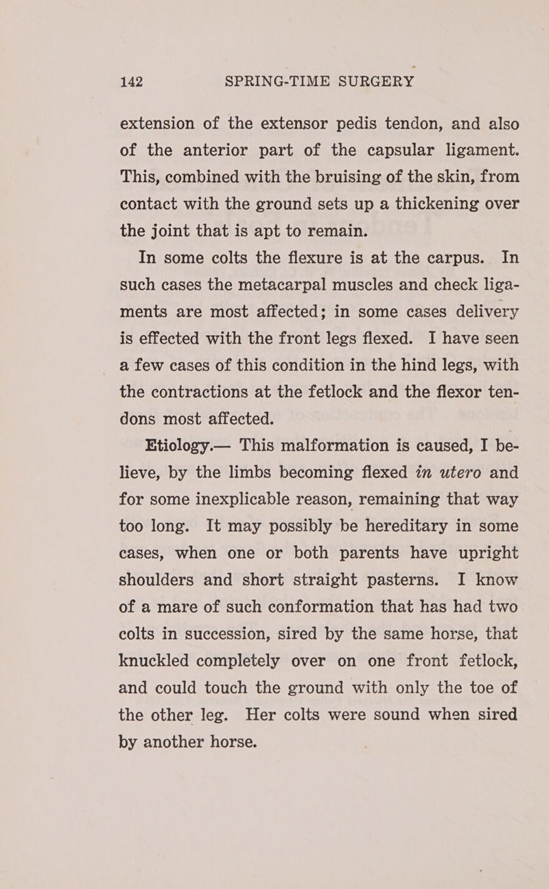 extension of the extensor pedis tendon, and also of the anterior part of the capsular ligament. This, combined with the bruising of the skin, from contact with the ground sets up a thickening over the joint that is apt to remain. In some colts the flexure is at the carpus. In such cases the metacarpal muscles and check liga- ments are most affected; in some cases delivery is effected with the front legs flexed. I have seen _ a few cases of this condition in the hind legs, with the contractions at the fetlock and the flexor ten- dons most affected. Etiology.— This malformation is caused, I be- lieve, by the limbs becoming flexed in utero and for some inexplicable reason, remaining that way too long. It may possibly be hereditary in some cases, when one or both parents have upright shoulders and short straight pasterns. I know of a mare of such conformation that has had two colts in succession, sired by the same horse, that knuckled completely over on one front fetlock, and could touch the ground with only the toe of the other leg. Her colts were sound when sired by another horse.