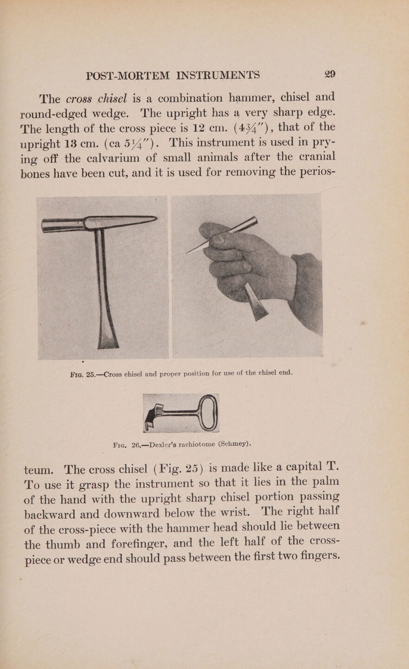 The cross chisel is a combination hammer, chisel and round-edged wedge. The upright has a very sharp edge. The length of the cross piece is 12 cm. (434”), that of the upright 13 cm. (ca 514”). ‘This instrument is used in pry- ing off the calvarium of small animals after the cranial bones have been cut, and it is used for removing the perios- Ftc. 25.—Cross chisel and proper position for use of the chisel end. Fie. 26.—Dexler’s rachiotome (Schmey). teum. The cross chisel (Fig. 25) is made like a capital T. To use it grasp the instrument so that it lies in the palm of the hand with the upright sharp chisel portion passing backward and downward below the wrist. The right half of the cross-piece with the hammer head should lie between the thumb and forefinger, and the left half of the cross- piece or wedge end should pass between the first two fingers.