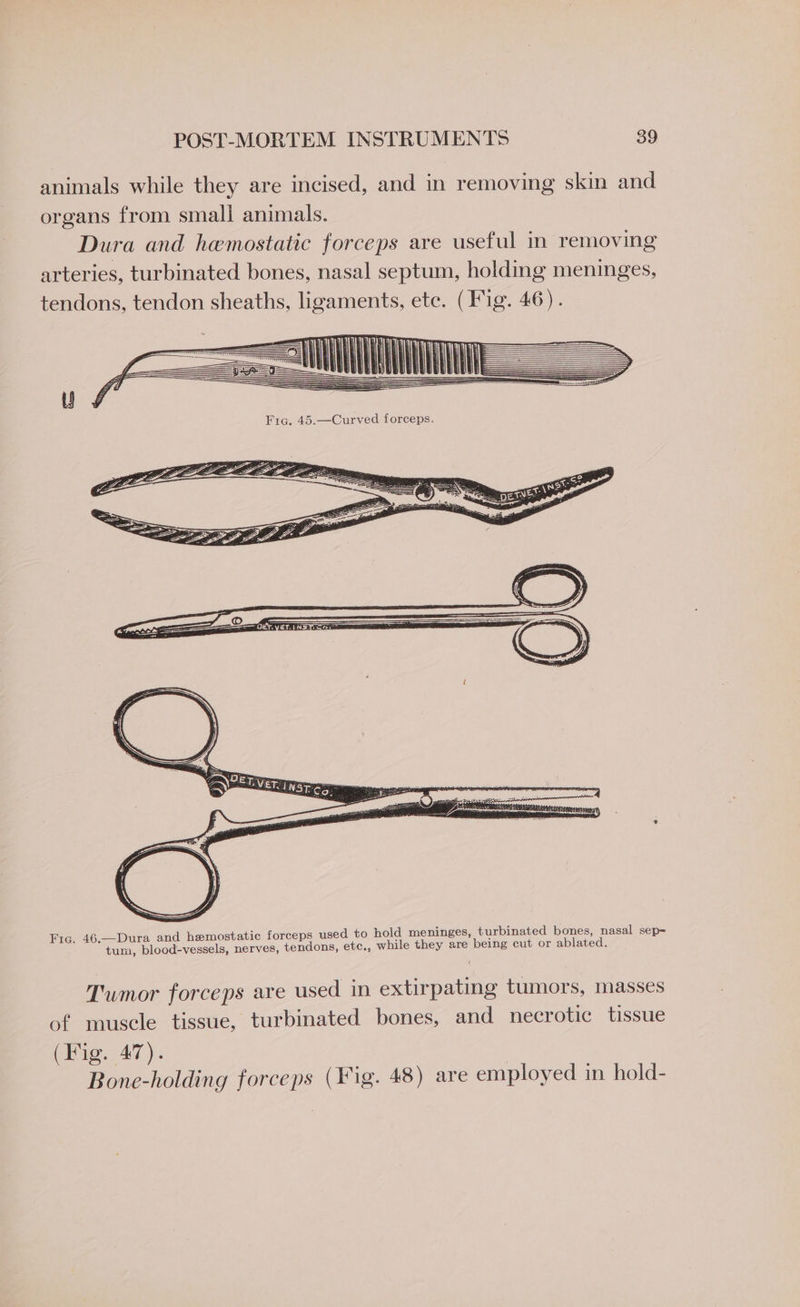 animals while they are incised, and in removing skin and Dura and hemostatic forceps are useful in removing arteries, turbinated bones, nasal septum, holding meninges, organs from smali animals. tendons, tendon sheaths, ligaments, ete. (Fig. 46). ITAA — > ATLA =U= oe NIN ~e TS, a S de, Q, h h mS ed to hold meninges, turbinated bones, nasal sep= tc., while they are being cut or ablated. Fic. 46.—Dura and hemostatic forceps us tum, blood-vessels, nerves, tendons, e Tumor forceps are used in extirpating tumors, masses of muscle tissue, turbinated bones, and necrotic tissue (Fig. 47). | Bone-holding forceps (Fig. 48) are employed in hold-