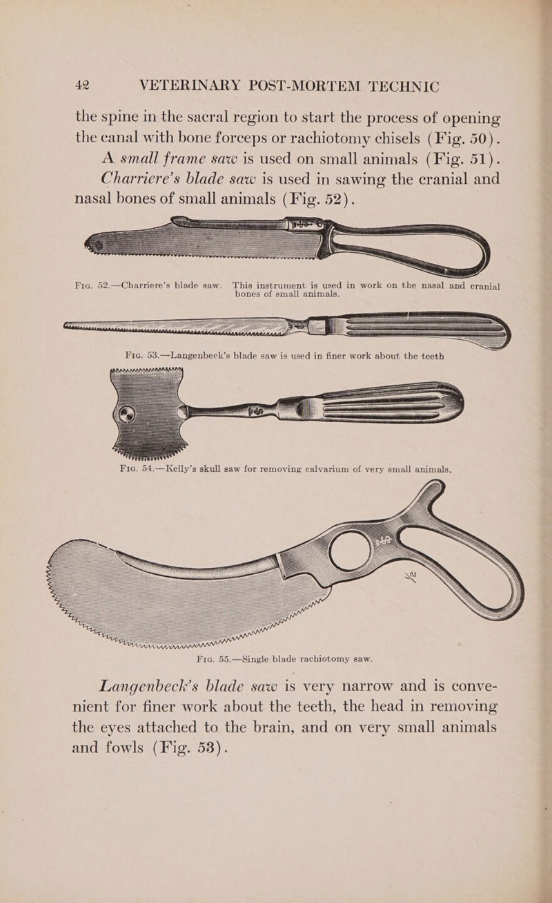 the spine in the sacral region to start the process of opening the canal with bone forceps or rachiotomy chisels (Fig. 50). A. small frame saw is used on small animals (Fig. 51). Charriere’s blade saw is used in sawing the cranial and nasal bones of small animals (Fig. 52). Fie. 52.—Charriere’s blade saw. This instrument is used in work on the nasal and cranial bones of small animals. * CAAA AAA Fie. 55.—Single blade rachiotomy saw. Langenbeck’s blade saw is very narrow and is conve- nient for finer work about the teeth, the head in removing the eyes attached to the brain, and on very small animals and fowls (Fig. 53).
