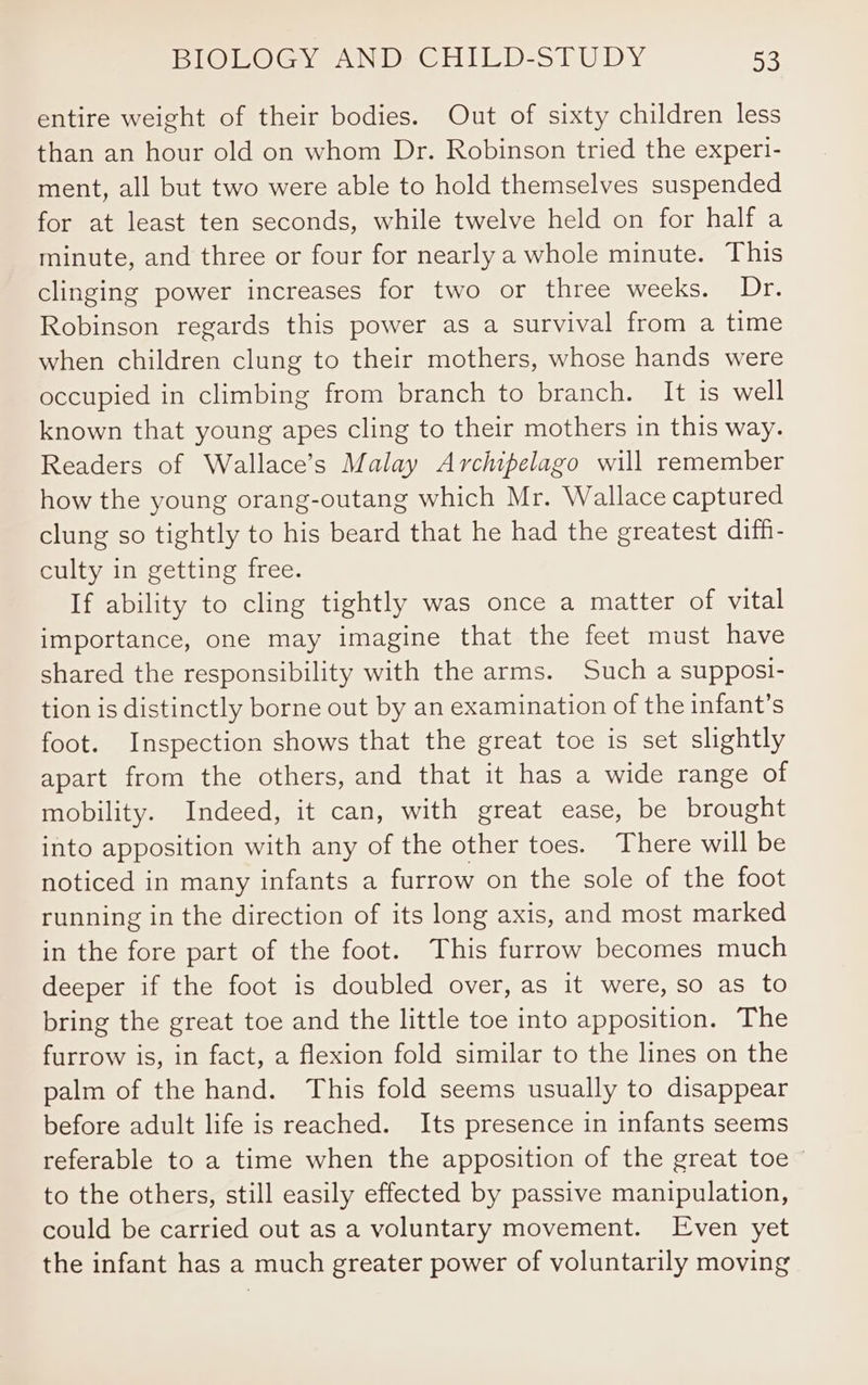 entire weight of their bodies. Out of sixty children less than an hour old on whom Dr. Robinson tried the experi- ment, all but two were able to hold themselves suspended for at least ten seconds, while twelve held on for half a minute, and three or four for nearly a whole minute. This clinging power increases for two or three weeks. Dr. Robinson regards this power as a survival from a time when children clung to their mothers, whose hands were occupied in climbing from branch to branch. It is well known that young apes cling to their mothers in this way. Readers of Wallace’s Malay Archipelago will remember how the young orang-outang which Mr. Wallace captured clung so tightly to his beard that he had the greatest diff- culty in getting free. If ability to cling tightly was once a matter of vital importance, one may imagine that the feet must have shared the responsibility with the arms. Such a supposi- tion is distinctly borne out by an examination of the infant’s foot. Inspection shows that the great toe is set slightly apart from the others, and that it has a wide range of mobility. Indeed, it can, with great ease, be brought into apposition with any of the other toes. There will be noticed in many infants a furrow on the sole of the foot running in the direction of its long axis, and most marked in the fore part of the foot. This furrow becomes much deeper if the foot is doubled over, as it were, so as to bring the great toe and the little toe into apposition. The furrow is, in fact, a flexion fold similar to the lines on the palm of the hand. This fold seems usually to disappear before adult life is reached. Its presence in infants seems referable to a time when the apposition of the great toe © to the others, still easily effected by passive manipulation, could be carried out as a voluntary movement. Even yet the infant has a much greater power of voluntarily moving