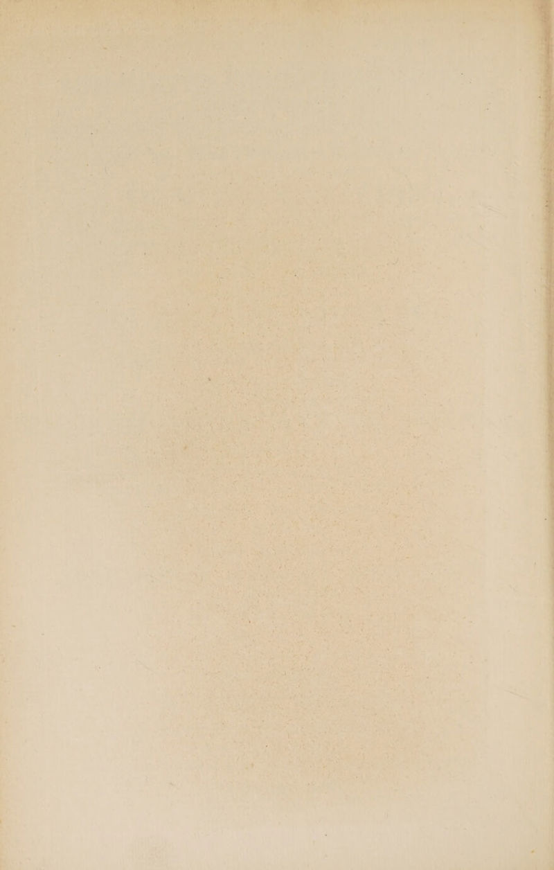 Si role a» 1 ee * i Ny > ‘ id Le, b Ses) »* x sg’