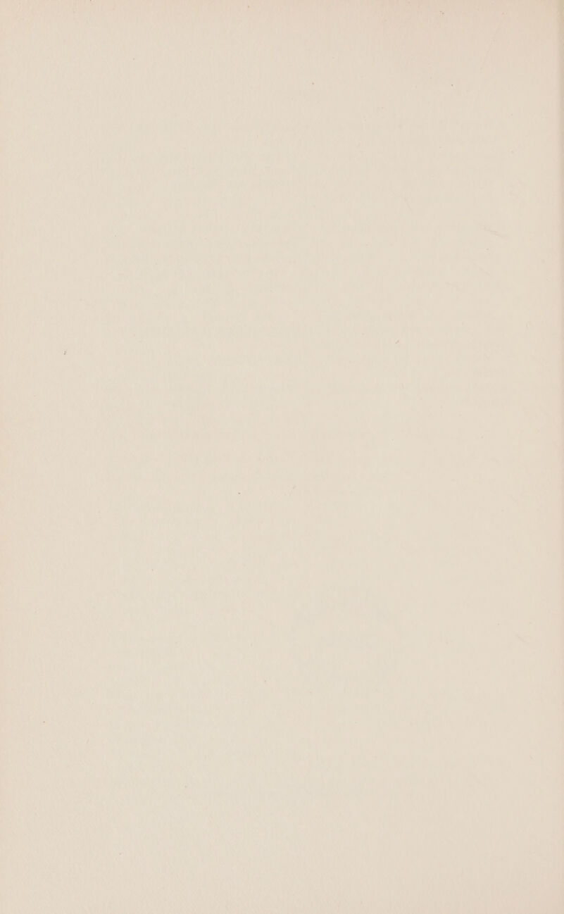 ‘ ) ¥ ‘ie ie, ayy . a,