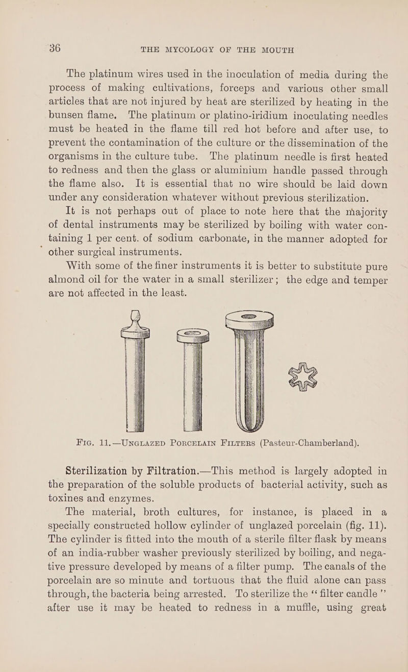 The platinum wires used in the inoculation of media during the process of making cultivations, forceps and various other small articles that are not injured by heat are sterilized by heating in the bunsen flame. The platinum or platino-iridium inoculating needles must be heated in the flame till red hot before and after use, to prevent the contamination of the culture or the dissemination of the organisms in the culture tube. The platinum needle is first heated to redness and then the glass or aluminium handle passed through the flame also. It is essential that no wire should be laid down under any consideration whatever without previous sterilization. It is not perhaps out of place to note here that the majority of dental instruments may be sterilized by boiling with water con- taining 1 per cent. of sodium carbonate, in the manner adopted for ’ other surgical instruments. With some of the finer instruments it is better to substitute pure almond oil for the water in a small sterilizer; the edge and temper are not affected in the least. Fic. 11.—UneGuazEeD PorcELAIN Fintrers (Pasteur-Chamberland). Sterilization by Filtration.—This method is largely adopted in the preparation of the soluble products of bacterial activity, such as toxines and enzymes. The material, broth cultures, for instance, is placed in a specially constructed hollow cylinder of unglazed porcelain (fig. 11). The cylinder is fitted into the mouth of a sterile filter flask by means of an india-rubber washer previously sterilized by boiling, and nega- tive pressure developed by means of a filter pump. The canals of the porcelain are so minute and tortuous that the fluid alone can pass through, the bacteria being arrested. To sterilize the ‘‘ filter candle ”’ after use it may be heated to redness in a muffle, using great