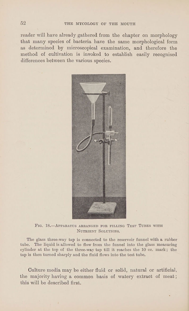 reader will have already gathered from the chapter on morphology that many species of bacteria have the same morphological form as determined by microscopical examination, and therefore the method of cultivation is invoked to establish easily recognised differences between the various species. Fic. 18.—APPARATUS ARRANGED FOR FILLING Trst TUBES WITH NUTRIENT SOLUTIONS. The glass three-way tap is connected to the reservoir funnel with a rubber tube. The liquid is allowed to flow from the funnel into the glass measuring cylinder at the top of the three-way tap till it reaches the 10 cc. mark; the tap is then turned sharply and the fluid flows into the test tube. Culture media may be either fluid or solid, natural or artificial, the majority having a common basis of watery extract of meat ; this will be described first.