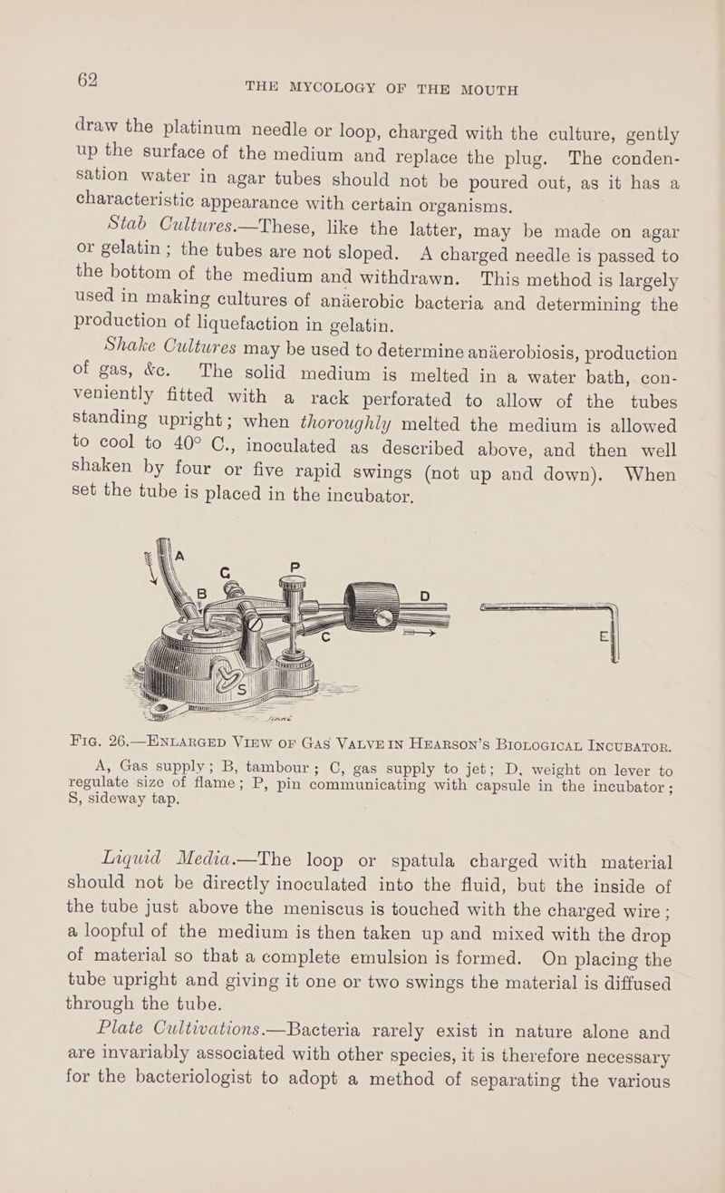 draw the platinum needle or loop, charged with the culture, gently up the surface of the medium and replace the plug. The conden- sation water in agar tubes should not be poured out, as it has a characteristic appearance with certain organisms, Stab Cultures.—These, like the latter, may be made on agar or gelatin ; the tubes are not sloped. A charged needle is passed to the bottom of the medium and withdrawn. This method is largely used in making cultures of anaerobic bacteria and determining the production of liquefaction in gelatin. Shake Cultwres may be used to determine anaerobiosis, production of gas, &amp;c. The solid medium is melted in a water bath, con- veniently fitted with a rack perforated to allow of the tubes standing upright; when thoroughly melted the medium is allowed to cool to 40° C., inoculated as described above, and then well shaken by four or five rapid swings (not up and down). When set the tube is placed in the incubator. Fig. 26.—ENLARGED ViEW oF Gas VALVEIN HEARSON’S BIOLOGICAL INCUBATOR. A, Gas supply; B, tambour; C, gas supply to jet; D, weight on lever to regulate size of flame; P, pin communicating with capsule in the incubator ; S, sideway tap. Liquid Media.—The loop or spatula charged with material should not be directly inoculated into the fluid, but the inside of the tube just above the meniscus is touched with the charged wire: a loopful of the medium is then taken up and mixed with the drop of material so that a complete emulsion is formed. On placing the tube upright and giving it one or two swings the material is diffused through the tube. Plate Cultwations.—Bacteria rarely exist in nature alone and are invariably associated with other species, it is therefore necessary for the bacteriologist to adopt a method of separating the various