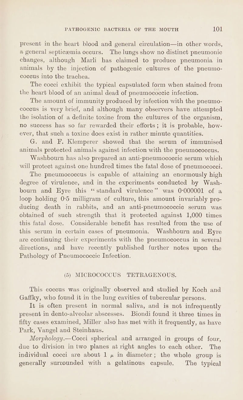 present in the heart blood and general circulation—in other words, a general septiczemia occurs. The lungs show no distinct pneumonic changes, although Marli has claimed to produce pneumonia in animals by the injection of pathogenic cultures of the pneumo- coccus into the trachea. The cocci exhibit the typical capsulated form when stained from the heart blood of an animal dead of pneumococcie infection. The amount of immunity produced by infection with the pneumo- coccus is very brief, and although many observers have attempted the isolation of a definite toxine from the cultures of the organism, no success has so far rewarded their efforts; it is probable, how- ever, that such a toxine does exist in rather minute quantities. G. and F. Klemperer showed that the serum of immunised animals protected animals against infection with the pneumococcus. Washbourn has also prepared an anti-pneumococcie serum which will protect against one hundred times the fatal dose of pneumococci. The pneumococcus is capable of attaining an enormously high degree of virulence, and in the experiments conducted by Wash- bourn and Hyre this ‘standard virulence’? was 0:000001 of a loop holding 0°5 milligram of culture, this amount invariably pro- ducing death in rabbits, and an anti-pneumococcic serum was obtained of such strength that it protected against 1,000 times this fatal dose. Considerable benefit has resulted from the use of this serum in certain cases of pneumonia. Washbourn and Eyre are continuing their experiments with the pneumococcus in several directions, and have recently published further notes upon the Pathology of Pneumococcic Infection. (5) MICROCOCCUS TETRAGENOUS. This coccus was originally observed and studied by Koch and Gaffky, who found it in the lung cavities of tubercular persons. It is often present in normal saliva, and is not infrequently present in dento-alveolar abscesses. Biondi found it three times in fifty cases examined, Miller also has met with it frequently, as have Park, Vangel and Steinhaus. Morphology.—Cocci spherical and arranged in groups of four, due to division in two planes at right angles to each other. The individual cocci are about 1 » in diameter; the whole group is generally surrounded with a gelatinous capsule. The typical