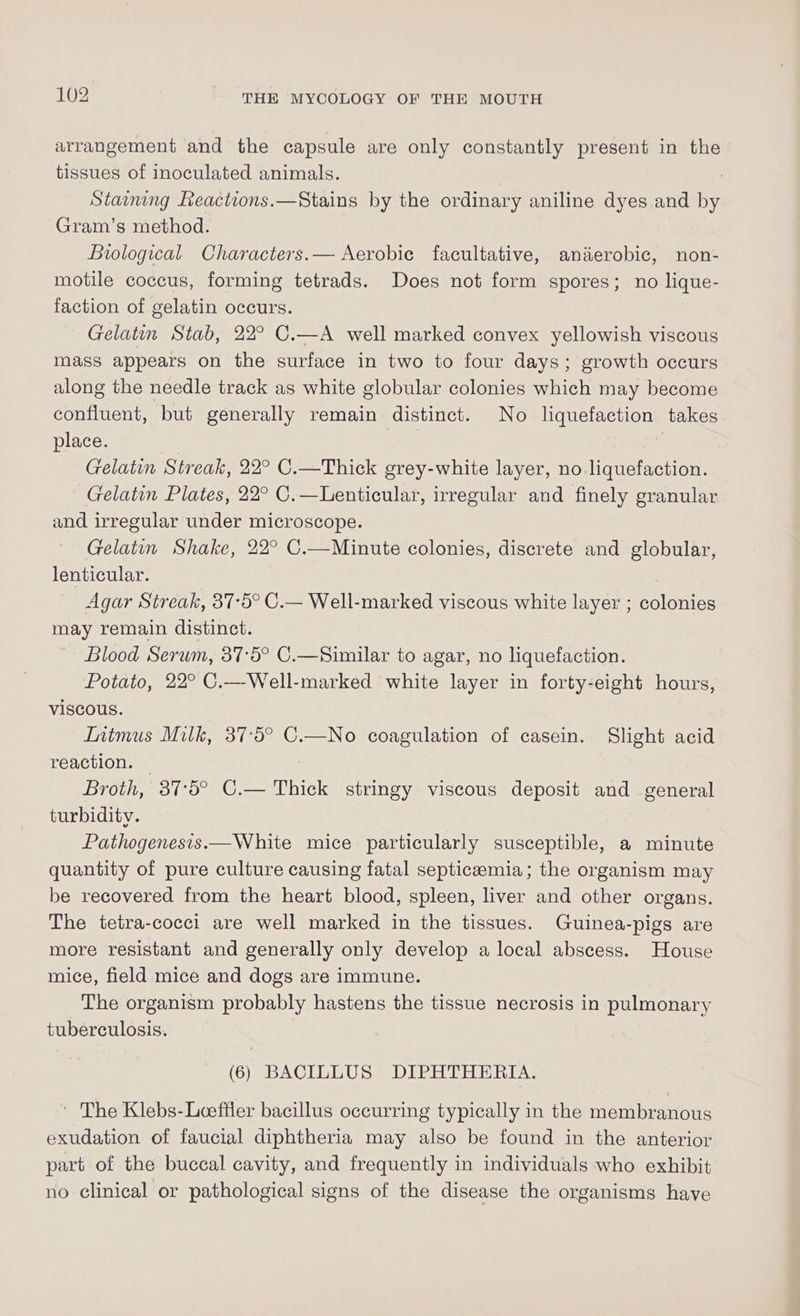 arrangement and the capsule are only constantly present in the tissues of inoculated animals. ! Stavmng Reactions.—Stains by the ordinary aniline dyes and by Gram’s method. Biological Characters.— Aerobic facultative, anaerobic, non- motile coccus, forming tetrads. Does not form spores; no lique- faction of gelatin occurs. Gelatin Stab, 22° C.—A well marked convex yellowish viscous mass appears on the surface in two to four days; growth occurs along the needle track as white globular colonies which may become confluent, but generally remain distinct. No liquefaction takes place. | | Gelatin Streak, 22° C.—Thick grey-white layer, no liquefaction. Gelatin Plates, 22° C.—Lenticular, irregular and finely granular and irregular under microscope. Gelatin Shake, 22° C.—Minute colonies, discrete and globular, lenticular. Agar Streak, 37-5° C.— Well-marked viscous white layer ; colonies may remain distinct. Blood Serum, 37:5° C.—Similar to agar, no liquefaction. Potato, 22° C.—Well-marked white layer in forty-eight hours, viscous. Inimus Milk, 37:5° C.—No coagulation of casein. Slight acid reaction. — Broth, 37:°5° C.— Thick stringy viscous deposit and general turbidity. Pathogenesis.— White mice particularly susceptible, a minute quantity of pure culture causing fatal septicaemia; the organism may be recovered from the heart blood, spleen, liver and other organs. The tetra-cocci are well marked in the tissues. Guinea-pigs are more resistant and generally only develop a local abscess. House mice, field mice and dogs are immune. The organism probably hastens the tissue necrosis in pulmonary tuberculosis. (6) BACILLUS DIPHTHERIA. ' The Klebs-Leeffler bacillus occurring typically in the membranous exudation of faucial diphtheria may also be found in the anterior part of the buccal cavity, and frequently in individuals who exhibit no clinical or pathological signs of the disease the organisms have