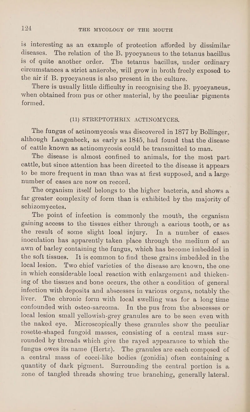 is interesting as an example of protection afforded by dissimilar diseases. The relation of the B. pyocyaneus to the tetanus bacillus is of quite another order. The tetanus bacillus, under ordinary circumstances a strict anderobe, will grow in broth freely exposed to the air if B. pyocyaneus is also present in the culture. There is usually little difficulty in recognising the B. pyocyaneus, when obtained from pus or other material, by the peculiar pigments formed. (11) STREPTOTHRIX ACTINOMYCES. The fungus of actinomycosis was discovered in 1877 by Bollinger, although Langenbeck, as early as 1845, had found that the disease of cattle known as actinomycosis could be transmitted to man. The disease is almost confined to animals, for the most part. cattle, but since attention has been directed to the disease it appears to be more frequent in man than was at first supposed, and a large number of cases are now on record. The organism itself belongs to the higher bacteria, and shows a far greater complexity of form than is exhibited by the majority of schizomycetes. The point of infection is commonly the mouth, the organism gaining access to the tissues either through a carious tooth, or as. the result of some slight local injury. In a number of cases. inoculation has apparently taken place through the medium of an awn of barley containing the fungus, which has become imbedded in the soft tissues. It is common to find these grains imbedded in the local lesion. Two chief varieties of the disease are known, the one: in which considerable local reaction with enlargement and thicken- ing of the tissues and bone occurs, the other a condition of general infection with deposits and abscesses in various organs, notably the. liver. The chronic form with local swelling was for a long time confounded with osteo-sarcoma. In the pus from the abscesses or local lesion small yellowish-grey granules are to be seen even with the naked eye. Microscopically these granules show the peculiar rosette-shaped fungoid masses, consisting of a central mass sur- rounded by threads which give the rayed appearance to which the fungus owes its name (Hertz). The granules are each composed of a central mass of cocci-like bodies (gonidia) often containing a quantity of dark pigment. Surrounding the central portion is a. zone of tangled threads showing true branching, generally lateral.