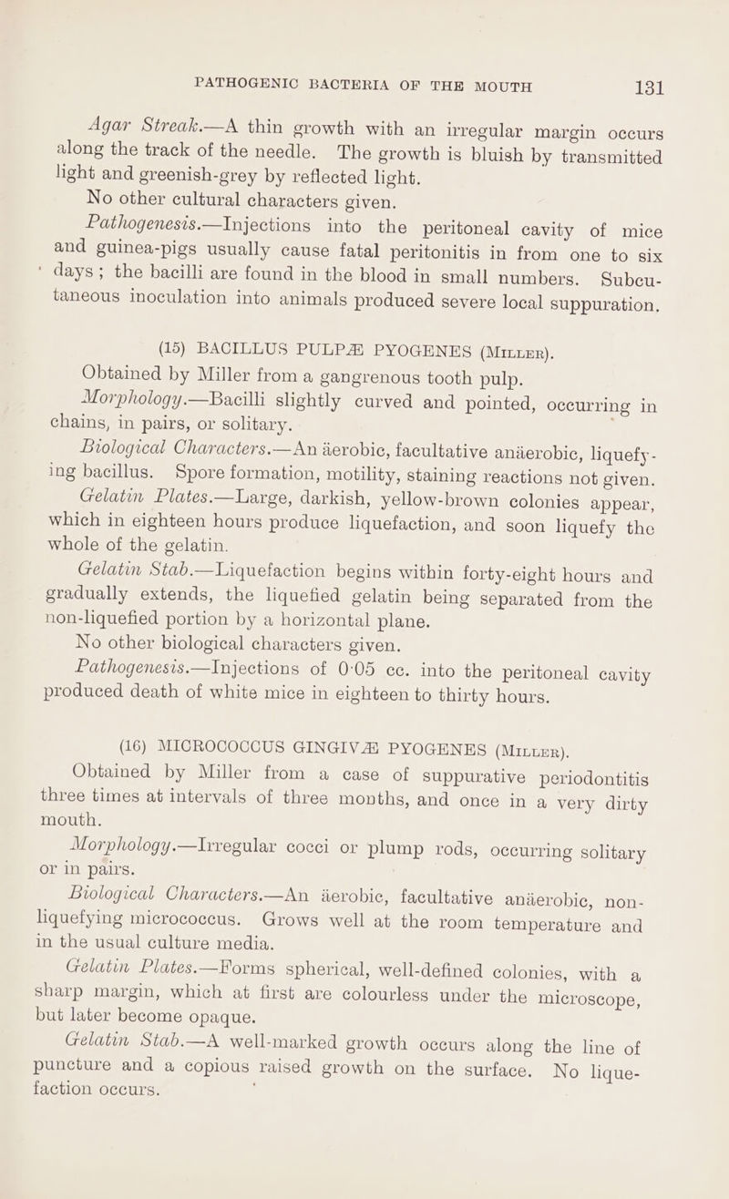 Agar Streak.—A thin growth with an irregular margin occurs along the track of the needle. The growth is bluish by transmitted light and greenish-grey by reflected light. No other cultural characters given. Pathogenesis.—Injections into the peritoneal cavity of mice and guinea-pigs usually cause fatal peritonitis in from one to six ‘ days; the bacilli are found in the blood in small numbers. Subcu- taneous inoculation into animals produced severe local suppuration. (15) BACILLUS PULP PYOGENES (Mi1LLER). Obtained by Miller from a gangrenous tooth pulp. Morphology.—Bacilli slightly curved and pointed, occurring in chains, in pairs, or solitary. Biological Characters.—An ierobiec, facultative aniierobic, liquefy - ing bacillus. Spore formation, motility, staining reactions not given. Gelatin Plates.—Large, darkish, yellow-brown colonies appear, which in eighteen hours produce liquefaction, and soon liquefy the whole of the gelatin. Gelatin Stab.—Liquefaction begins within forty-eight hours and gradually extends, the liquefied gelatin being separated from the non-liquefied portion by a horizontal plane. No other biological characters given. Pathogenesis.—Injections of 0:05 cc. into the peritoneal cavity produced death of white mice in eighteen to thirty hours. (16) MICROCOCCUS GINGIVA PYOGENES (MiLLER). Obtained by Miller from a case of suppurative periodontitis three times at intervals of three months, and once in a very dirty mouth. Morphology.—lrregular cocci or plump rods, occurring solitary or in pairs. Biological Characters.—An ierobic, facultative anierobic, non- liquefying micrococcus. Grows well at the room temperature and in the usual culture media. Gelatin Plates.—Forms spherical, well-defined colonies, with a sharp margin, which at first are colourless under the microscope, but later become opaque. Gelatin Stab.—A well-marked growth occurs along the line of puncture and a copious raised growth on the surface. No lique- faction occurs. ,