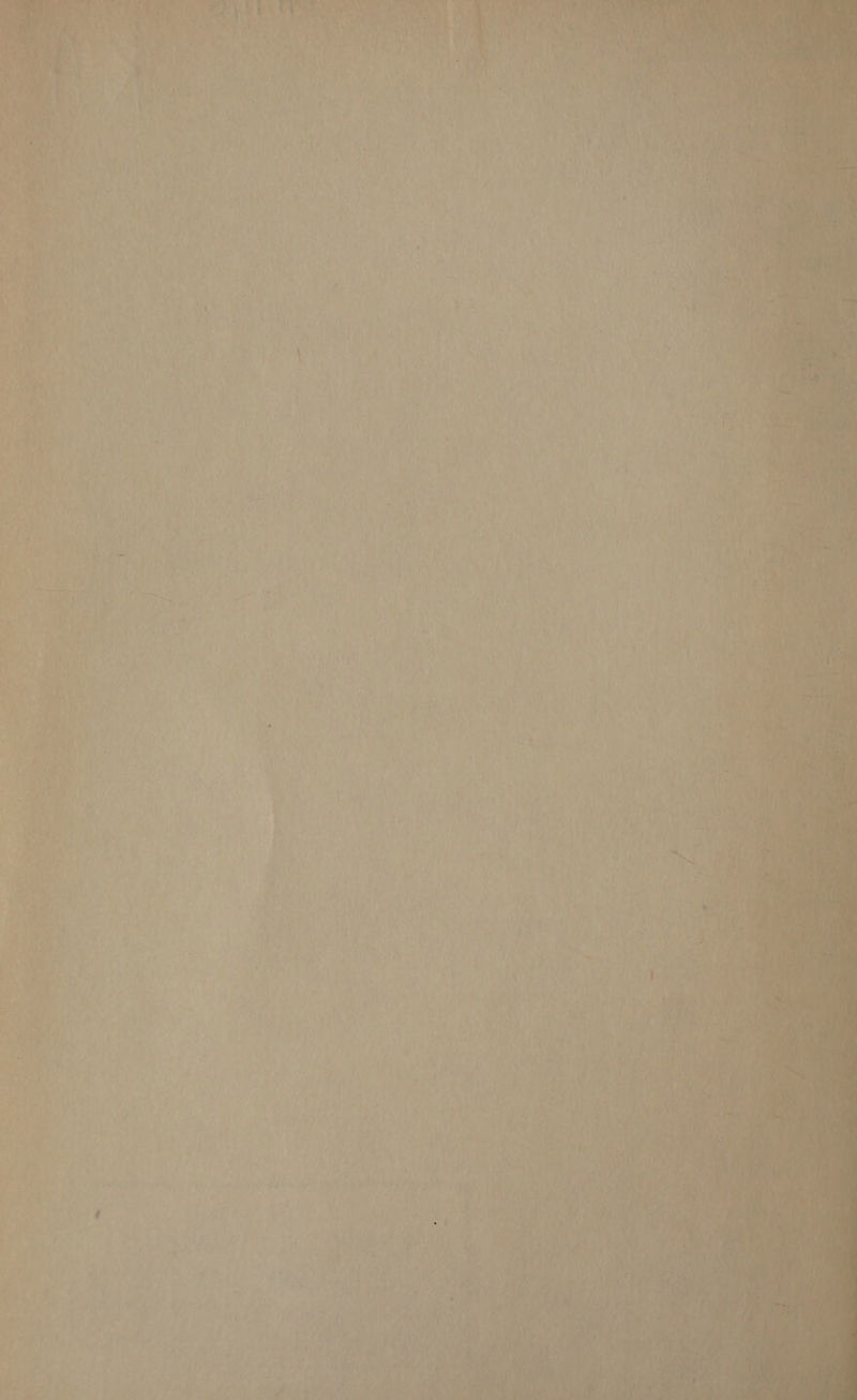 : x My AAD AE 4 ee Wie s 4 Ve es wu ; f ery . Ay re Le ee ose) eal,