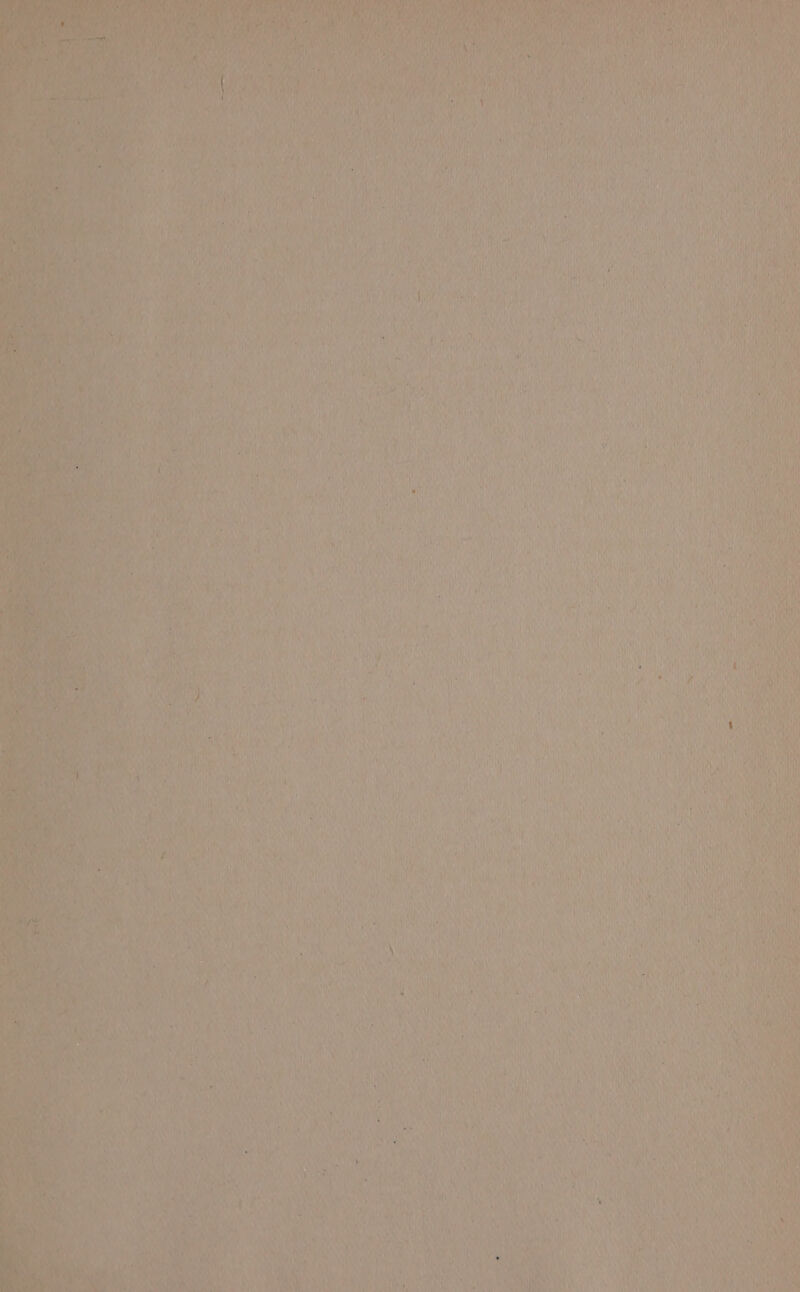 vp  K ¥d “ay MeN Mk ea Mast yy vy ce