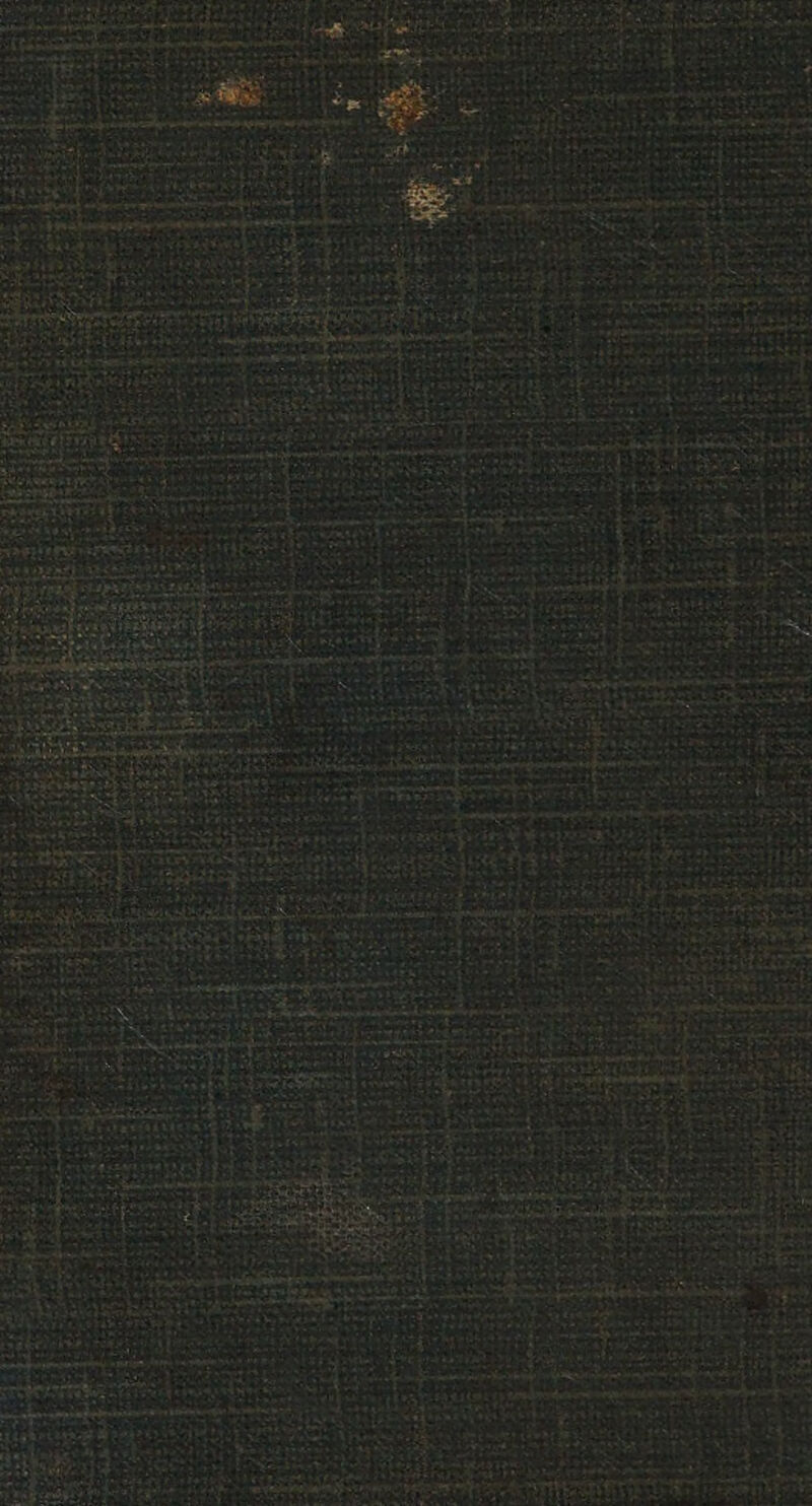 ay : 2 Felabe eeeiives ev tind _ wit Shrencres iets - sShnmevat La Ne See aHy berets Exteveea icra < Bho Pee a er soln te 4 is Sessa pastes poaeet — 