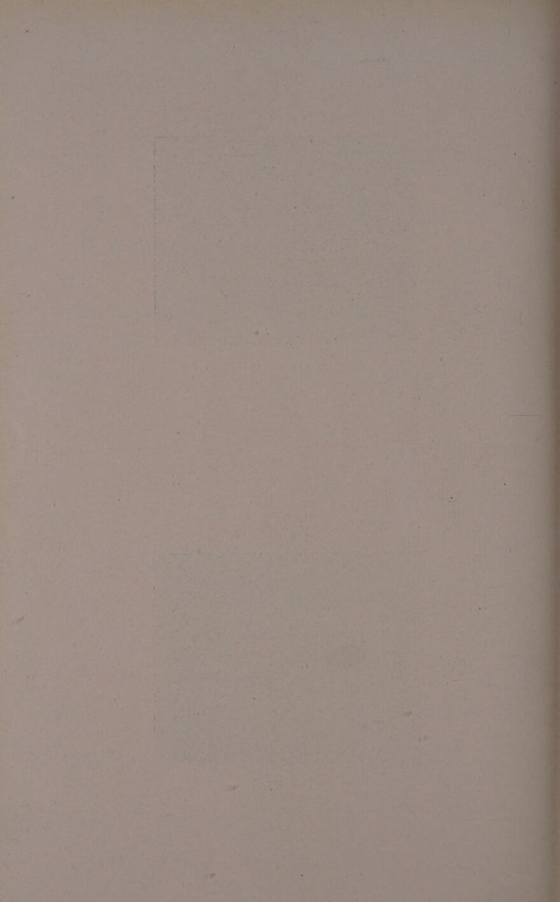 x i i . ‘ ‘ ' - : ‘ ¢ i i } 4 ’ ; ‘ 4 “ 1 rn * ‘ r ‘ ‘ ¢ { . f- # 4 + 7 ,)