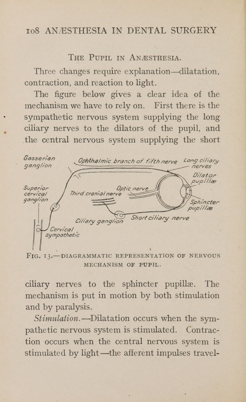THE PUPIL IN ANZASTHESIA. Three changes require explanation—dilatation, contraction, and reaction to light. The figure below gives a clear idea of the mechanism we have to rely on. First there is the sympathetic nervous system supplying the long ciliary nerves to the dilators of the pupil, and the central nervous system supplying the short Gasserian Ophthalmic branch of rifth nerve £909 Clary ganglion &amp; ferves firs Dilator é pup lx Superior Optic cervica/ Third cranial nerve eas Sphincter d pupi/lae  Short ciliary nerve CUWary Ganglion Cervical . | sympathetic Fic. I3.—DIAGRAMMATIC REPRESENTATION OF NERVOUS MECHANISM OF PUPIL. ciliary nerves to the sphincter pupille. The mechanism is put in motion by both stimulation and by paralysis. Stimulation.—Dilatation occurs when the sym- pathetic nervous system is stimulated. Contrac- tion occurs when the central nervous system is stimulated by light—the afferent impulses travel-
