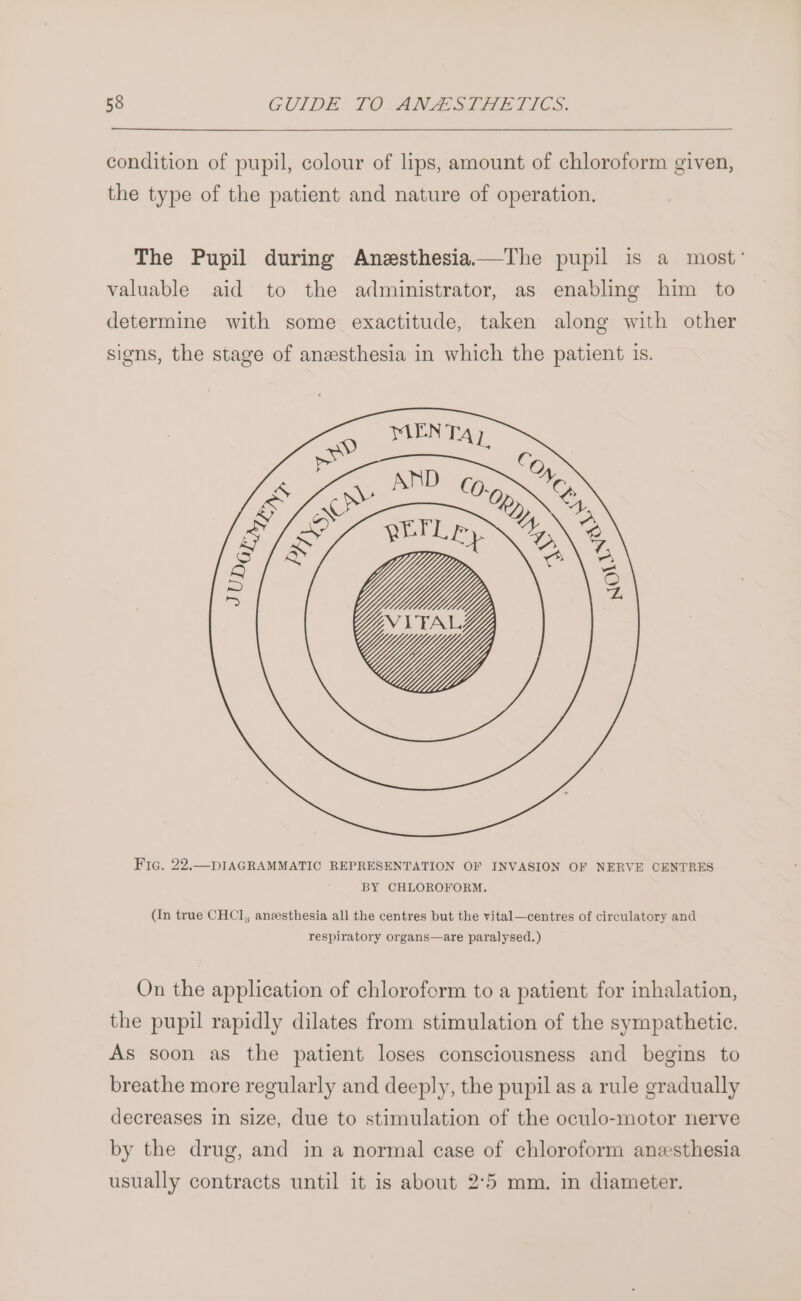 condition of pupil, colour of lips, amount of chloroform given, the type of the patient and nature of operation. The Pupil during Anesthesia.—The pupil is a most’ valuable aid to the administrator, as enabling him to determine with some exactitude, taken along with other signs, the stage of anesthesia in which the patient 1s. Fic. 22.—DIAGRAMMATIC REPRESENTATION OF INVASION OF NERVE CENTRES BY CHLOROFORM. (In true CHCl, anzesthesia all the centres but the vital—centres of circulatory and respiratory organs—are paralysed.) On the application of chloroform to a patient for inhalation, the pupil rapidly dilates from stimulation of the sympathetic. As soon as the patient loses consciousness and begins to breathe more regularly and deeply, the pupil as a rule gradually decreases in size, due to stimulation of the oculo-motor nerve by the drug, and in a normal case of chloroform anesthesia usually contracts until it is about 2°5 mm. in diameter.