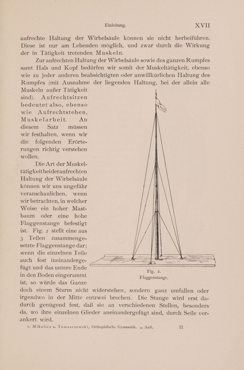 aufrechte Haltung der Wirbelsäule können sie nicht herbeiführen. Diese ist nur am Lebenden möglich, und zwar durch die Wirkung der in Tätigkeit tretenden Muskeln. Zur aufrechten Haltung der Wirbelsäule sowie des ganzen Rumpfes samt Hals und Kopf bedürfen wir somit der Muskeltätigkeit, ebenso wie zu jeder anderen beabsichtigten oder unwillkürlichen Haltung des Rumpfes (mit Ausnahme der liegenden Haltung, bei der allein alle Muskeln außer Tätigkeit | sind. Aufrechtsitzen ( bedeutet also, ebenso RR wie Aufrechtstehen, Ä Muskelarbeit. An | diesem Satz müssen wir festhalten, wenn wir die folgenden Erörte- rungen richtig verstehen wollen. Die Art der Muskel- tätigkeitbeideraufrechten Haltung der Wirbelsäule können wir uns ungefähr veranschaulichen, wenn I wir betrachten, in welcher Weise ein hoher Mast- baum oder eine hohe Flaggenstange befestigt ist. Fig. 2 stellt eine aus 3 Teilen zusammenge- setzte Flaggenstange dar; wenn die einzelnen Teile auch fest ineinanderge- fügt und das untere Ende in den Boden eingerammt ist, so würde das Ganze doch einem Sturm nicht widerstehen, sondern ganz umfallen oder irgendwo in der Mitte entzwei brechen. Die Stange wird erst da- durch genügend fest, daß sie an verschiedenen Stellen, besonders da, wo ihre einzelnen Glieder aneinandergefügt sind, durch Seile ver- ankert wird. v. Mikulicz u. Tomasczewski, Orthopädische Gymnastik. 4. Aufl. 181 Die, 2 Flaggenstange.