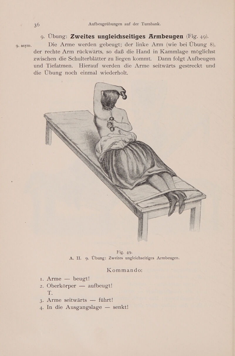 9. Übung: Zweites ungleichseitiges Armbeugen (Fig. 49). Die Arme werden gebeugt; der linke Arm (wie bei Übung 8), der rechte Arm rückwärts, so daß die Hand in Kammlage möglichst zwischen die Schulterblätter zu liegen kommt. Dann folgt Aufbeugen und Tiefatmen. Hierauf werden die Arme seitwärts gestreckt und die Übung noch einmal wiederholt. Kommando: ı. Arme — beugt! 2. Oberkörper — aufbeugt! IE 3. Arme seitwärts — führt!