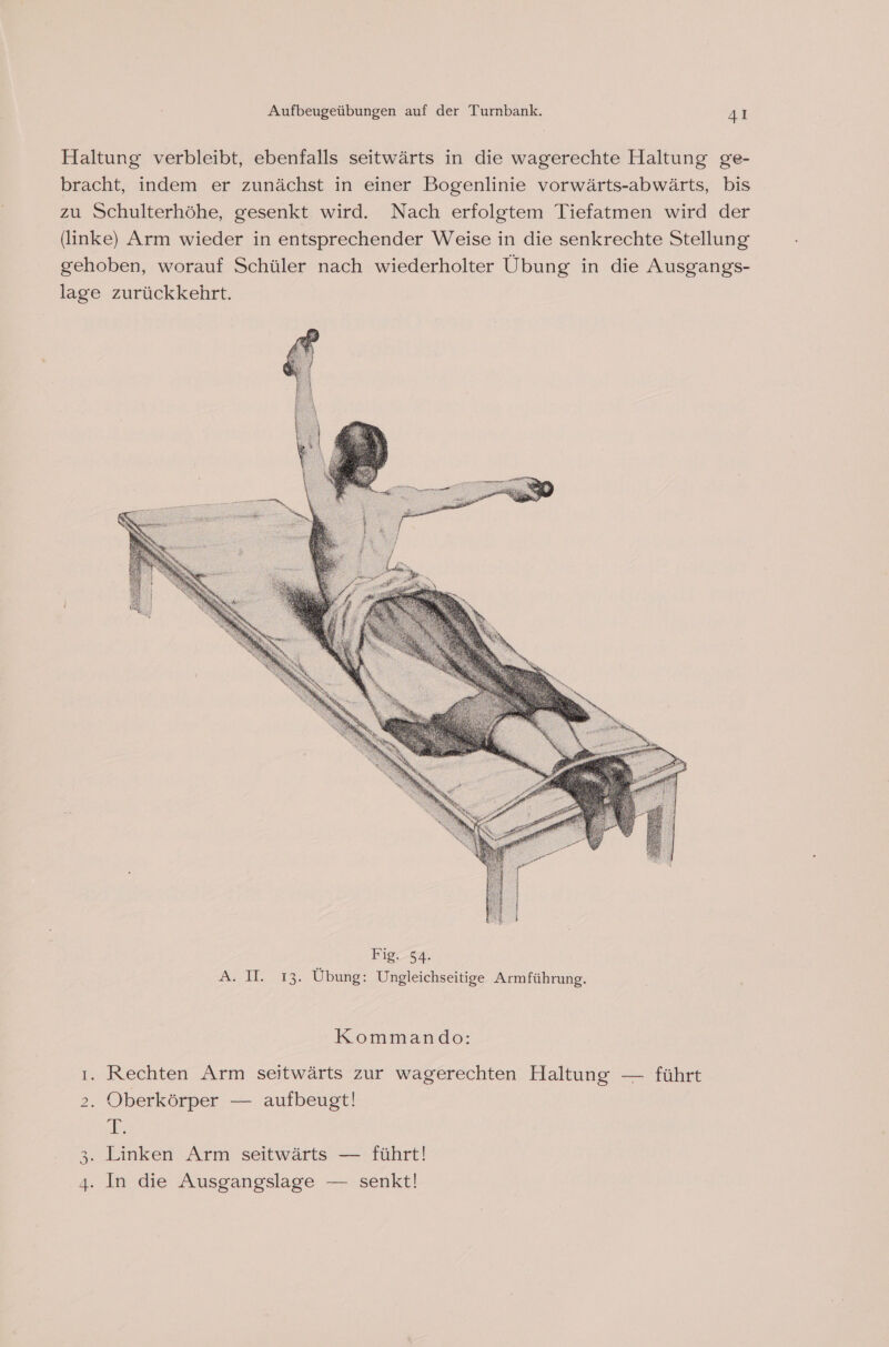 Haltung verbleibt, ebenfalls seitwärts in die wagerechte Haltung ge- bracht, indem er zunächst in einer Bogenlinie vorwärts-abwärts, bis zu Schulterhöhe, gesenkt wird. Nach erfolgtem Tiefatmen wird der (linke) Arm wieder in entsprechender Weise in die senkrechte Stellung gehoben, worauf Schüler nach wiederholter Übung in die Ausgangs- lage zurückkehrt. Kommando: 1. Rechten Arm seitwärts zur wagerechten Haltung — führt &gt;. Oberkörper — aufbeugt! T; 3. Linken Arm seitwärts — führt!