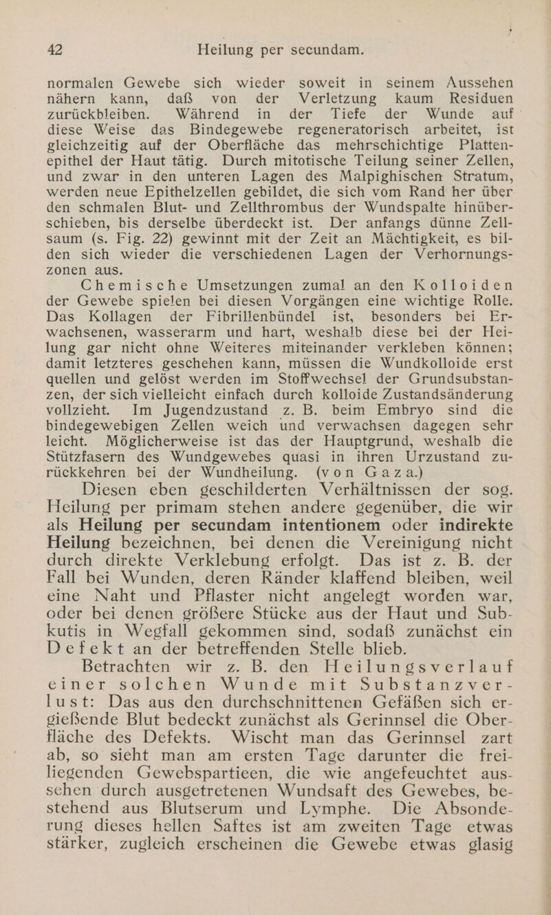 normalen Gewebe sich wieder soweit in seinem Aussehen nähern kann, daß von der Verletzung kaum Residuen zurückbleiben. - Während in der Tiefe der Wunde auf’ diese Weise das Bindegewebe regeneratorisch arbeitet, ist gleichzeitig auf der Oberfläche das mehrschichtige Platten- epithel der Haut tätig. Durch mitotische Teilung seiner Zellen, und zwar in den unteren Lagen des Malpighischen Stratum, werden neue Epithelzellen gebildet, die sich vom Rand her über den schmalen Blut- und Zellthrombus der Wundspalte hinüber- schieben, bis derselbe überdeckt ist. Der anfangs dünne Zell- saum (s. Fig. 22) gewinnt mit der Zeit an Mächtigkeit, es bil- den sich wieder die verschiedenen Lagen der Verhornungs- zonen aus. Chemische Umsetzungen zumal an den Kolloiden der Gewebe spielen bei diesen Vorgängen eine wichtige Rolle. Das Kollagen der Fibrillenbündel ist, besonders bei Er- wachsenen, wasserarm und hart, weshalb diese bei der Hei- lung gar nicht ohne Weiteres miteinander verkleben Können; damit letzteres geschehen kann, müssen die Wundkolloide erst quellen und gelöst werden im Stoffwechsel der Grundsubstan- zen, der sich vielleicht einfach durch kolloide Zustandsänderung vollzieht. Im Jugendzustand z. B. beim Embryo sind die bindegewebigen Zellen weich und verwachsen dagegen sehr leicht. Möglicherweise ist das der Hauptgrund, weshalb die Stützfasern des Wundgewebes quasi in ihren Urzustand zu- rückkehren. bei der Wundheilung. (von Gaza.) Diesen eben geschilderten Verhältnissen der sog. Heilung per primam stehen andere gegenüber, die wir als Heilung per secundam intentionem oder indirekte Heilung bezeichnen, bei denen die Vereinigung nicht durch direkte Verklebung erfolgt. Das ist z. B. der Fall bei Wunden, deren Ränder klaffend bleiben, weil eine Naht und Pflaster nicht angelegt worden war, oder bei denen größere Stücke aus der Haut und Sub- kutis in Wegfall gekommen sind, sodaß zunächst ein Defekt an der betreffenden Stelle blieb. Betrachten wir z. B. den Heilungsverlauf einer. solehen Wunde mit Substanzver- lust: Das aus den durchschnittenen Gefäßen sich er- gießende Blut bedeckt zunächst als Gerinnsel die Ober- fläche des Defekts. Wischt man das Gerinnsel zart ab, so sieht man am ersten Tage darunter die frei- liegenden Gewebspartieen, die wie angefeuchtet aus- sehen durch ausgetretenen Wundsaft des Gewebes, be- stehend aus Blutserum und Lymphe. Die Absonde- rung dieses hellen Saftes ist am zweiten Tage etwas stärker, zugleich erscheinen die Gewebe etwas glasig