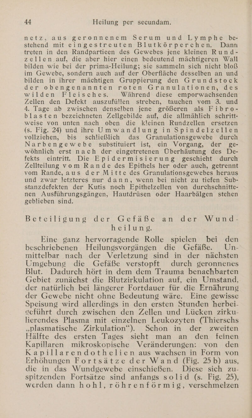 netz, auslgerennenem Serum und ’Lymph E71 stehend mit eingestreuten Blutkörperchen. Dann treten in den Randpartieen des Gewebes jene kleinen Rund- zellen auf, die aber hier einen bedeutend mächtigeren Wall bilden wie bei der prima-Heilung; sie sammeln sich nicht bloß im Gewebe, sondern auch auf der Oberfläche desselben an und bilden in ihrer mächtigen Gruppierung den Grundstock der obiengenangaten roten Kran utatToRen Res wibden? Pers che Während diese emporwachsenden Zellen den Defekt auszufüllen streben, tauchen vom 3. und 4. Tage ab zwischen denselben jene größeren als Fibro- blasten bezeichneten Zellgebilde auf, die allmählich schritt- weise von unten nach oben die kleinen Rundzellen ersetzen (s. Fig. 24) und ihre Umwandlung in Spindelzellen vollziehen, bis schließlich das Granulationsgewebe durch Narbengewebe substituiert ist, ein Vorgang, der ge- wöhnlich erst nach der eingetretenen Überhäutung des De- fekts eintritt. Die Epidermisierung geschieht durch Zellteilung vom Rande des Epithels her oder auch, getrennt vom Rande, aus der Mitte des Granulationsgewebes heraus und zwar letzteres nur dann, wenn bei nicht zu tiefen Sub- stanzdefekten der Kutis noch Epithelzellen von durchschnitte- nen Ausführungsgängen, Hautdrüsen oder Haarbälgen stehen geblieben sind. Beteiligung der Gefäße, an den wund Reilanng, Eine ganz hervorragende Rolle spielen bei den beschriebenen Heilungsvorgängen die Gefäße. Un- mittelbar nach der Verletzung sind in der nächsten Umgebung die Gefäße verstopft durch geronnenes Blut. Dadurch hört in dem dem Trauma benachbarten Gebiet zunächst die Blutzirkulation auf, ein Umstand, der natürlich bei längerer Fortdauer für die Ernährung der Gewebe nicht ohne Bedeutung wäre. Eine gewisse Speisung wird allerdings in den ersten Stunden herbei- geführt durch zwischen den Zellen und Lücken zirku- lierendes Plasma mit einzelnen Leukozyten (Thierschs „plasmatische Zirkulation“). Schon in der zweiten Hälfte des ersten Tages sieht man an den feinen Kapillaren mikroskopische Veränderungen: von den Kapillarendothelien aus wachsen in Form von Erhöhungen Fortsätze der Wand (Fig. 25b) aus, die in das Wundgewebe einschießen. Diese sich zu- spitzenden Fortsätze sind anfangs solid (s. Fig. 25), werden dann hohl, röhrenförmig, verschmelzen