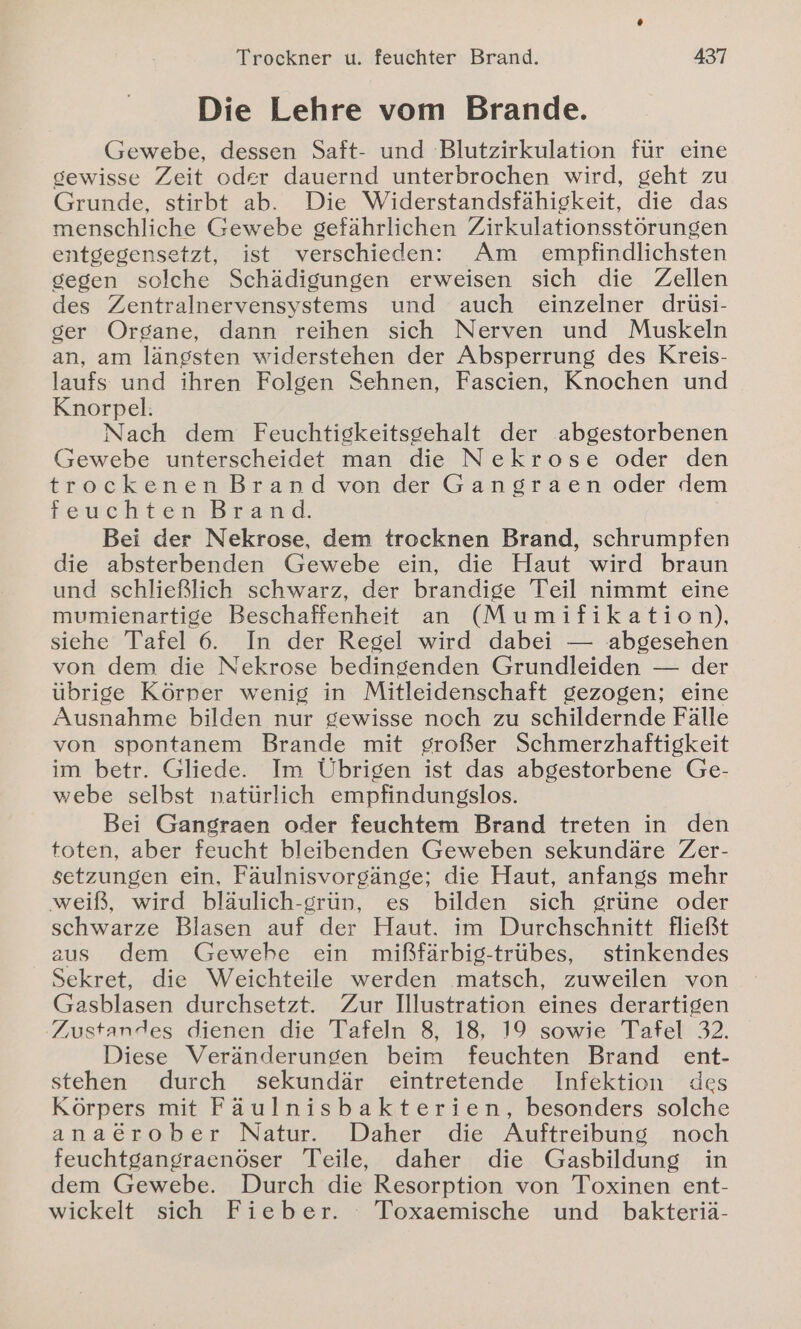 Die Lehre vom Brande. Gewebe, dessen Saft- und Blutzirkulation für eine gewisse Zeit oder dauernd unterbrochen wird, geht zu Grunde, stirbt ab. Die Widerstandsfähiskeit, die das menschliche Gewebe gefährlichen Zirkulationsstörungen entgegensetzt, ist verschieden: Am empfindlichsten gegen solche Schädigungen erweisen sich die Zellen des Zentralnervensystems und auch einzelner drüsi- ger Organe, dann reihen sich Nerven und Muskeln an, am längsten widerstehen der Absperrung des Kreis- laufs und ihren Folgen Sehnen, Fascien, Knochen und Knorpel: Nach dem Feuchtigskeitsgehalt der abgestorbenen Gewebe unterscheidet man die Nekrose oder den trockenen Brandvon der Gangraen oder dem feuchten Brand. Bei der Nekrose, dem trocknen Brand, schrumpfen die absterbenden Gewebe ein, die Haut wird braun und schließlich schwarz, der brandige Teil nimmt eine mumienartige Beschaffenheit an (Mumifikation), siehe Tafel 6. In der Regel wird dabei — abgesehen von dem die Nekrose bedingenden Grundleiden — der übrige Körper wenig in Mitleidenschaft gezogen; eine Ausnahme bilden nur gewisse noch zu schildernde Fälle von spontanem Brande mit großer Schmerzhaftigkeit im betr. Gliede. Im Übrigen ist das abgestorbene Ge- webe selbst natürlich empfindungslos. Bei Gangraen oder feuchtem Brand treten in den toten, aber feucht bleibenden Geweben sekundäre Zer- setzungen ein, Fäulnisvorgänge; die Haut, anfangs mehr weiß, wird bläulich-grün, es bilden sich grüne oder schwarze Blasen auf der Haut. im Durchschnitt fließt aus dem Gewehe ein mißfärbig-trübes, stinkendes Sekret, die Weichteile werden matsch, zuweilen von Gasblasen durchsetzt. Zur Illustration eines derartigen Zustandes dienen die Tafeln 8, 18, 19 sowie Tafel 32. Diese Veränderungen beim feuchten Brand ent- stehen durch sekundär eintretende Infektion des Körpers mit Fäulnisbakterien, besonders solche ana&amp;@rober Natur. Daher die Auftreibung noch feuchtgangraenöser Teile, daher die Gasbildung in dem Gewebe. Durch die Resorption von Toxinen ent- wickelt sich Fieber. Toxaemische und bakteriä-