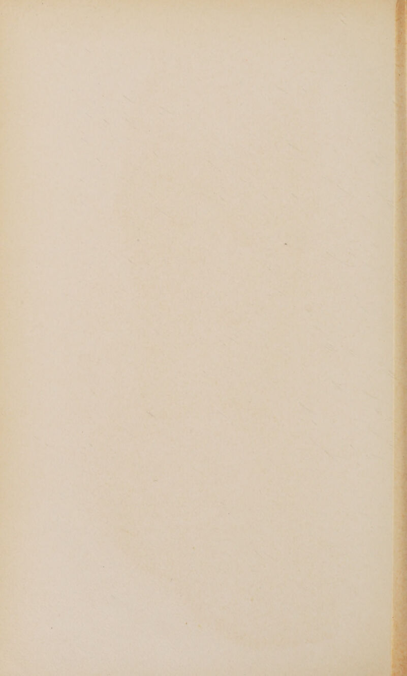 ‘ ’ ” % x a‘ ei ö ö % x » r * ( de % N x « N r ‘ . ’ \ \ I Yy ” v z - - je n , ’ N n u. = a a . . i r r =” N i R . S ne v. las nz ” ß = * &gt; I { N hie m a Sn Fe . zul ur %i ge ER # &gt; % I ä DE .; 51 &gt; % Rn “ a Th x . I A . ‘ ar } x u‘ y 2” s s u 15 Far 17 r De eo De h 4 Tu T N De | we “ I Ay \) ’ Be . N * ns. '  Te) 2 e % q .. N u p B Is; # CLAN AR er A N DON ie ER &gt; “ ERTL T EBIRECR, fr} Or Ihe Au a KUN TAN