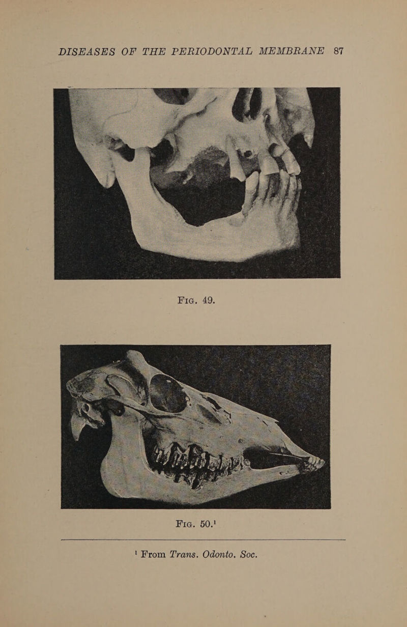Fig. 49.