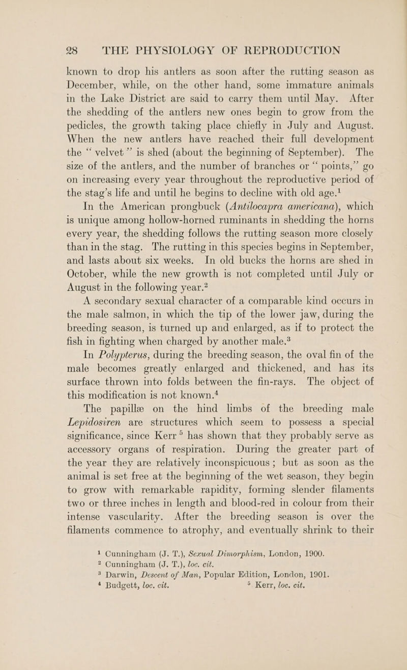known to drop his antlers as soon after the rutting season as December, while, on the other hand, some immature animals in the Lake District are said to carry them until May. After the shedding of the antlers new ones begin to grow from the pedicles, the growth taking place chiefly in July and August. When the new antlers have reached their full development the “ velvet ”’ is shed (about the beginning of September). The size of the antlers, and the number of branches or “ points,” go on Increasing every year throughout the reproductive period of the stag’s life and until he begins to decline with old age.! In the American prongbuck (Antilocapra americana), which is unique among hollow-horned ruminants in shedding the horns every year, the shedding follows the rutting season more closely than in the stag. The rutting in this species begins in September, and lasts about six weeks. In old bucks the horns are shed in October, while the new growth is not completed until July or August in the following year. A secondary sexual character of a comparable kind occurs in the male salmon, in which the tip of the lower jaw, during the breeding season, is turned up and enlarged, as if to protect the fish in fighting when charged by another male.* In Polypterus, during the breeding season, the oval fin of the male becomes greatly enlarged and thickened, and has its surface thrown into folds between the fin-rays. The object of this modification 1s not known.4 The papille on the hind limbs of the breeding male Lepidosiren are structures which seem to possess a special significance, since Kerr’ has shown that they probably serve as accessory organs of respiration. During the greater part of the year they are relatively inconspicuous ; but as soon as the animal is set free at the beginning of the wet season, they begin to grow with remarkable rapidity, forming slender filaments two or three inches in length and blood-red in colour from their intense vascularity. After the breeding season is over the filaments commence to atrophy, and eventually shrink to their 1 Cunningham (J. T.), Secuwal Dimorphism, London, 1900. 2 Cunningham (J. T.), loc. cit. 3 Darwin, Descent of Man, Popular Edition, London, 1901. 4 Budgett, loc. cit. 5. Kerr, loc. cit.