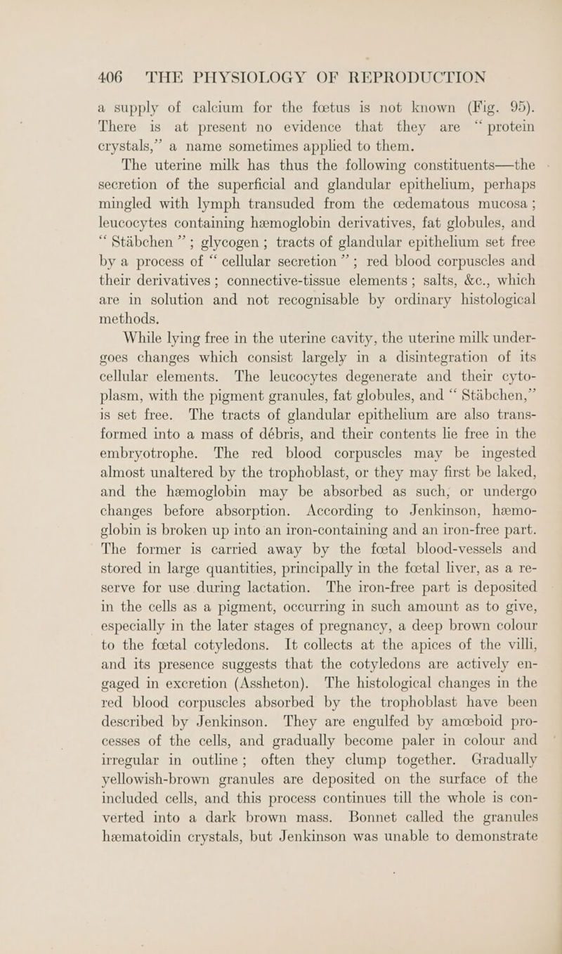 a supply of calcium for the foetus is not known (Fig. 99). There is at present no evidence that they are “ protein crystals,’ a name sometimes applied to them. The uterine milk has thus the following constituents—the - secretion of the superficial and glandular epithelium, perhaps mingled with lymph transuded from the cedematous mucosa ; leucocytes containing hemoglobin derivatives, fat globules, and “ Staibchen ” ; glycogen; tracts of glandular epithelium set free by a process of “ cellular secretion ” ; red blood corpuscles and their derivatives ; connective-tissue elements; salts, &amp;c., which are in solution and not recognisable by ordinary histological methods. While lying free in the uterine cavity, the uterine milk under- goes changes which consist largely in a disintegration of its cellular elements. The leucocytes degenerate and their cyto- plasm, with the pigment granules, fat globules, and “ Stabchen,” is set free. The tracts of glandular epithelium are also trans- formed into a mass of débris, and their contents lie free in the embryotrophe. The red blood corpuscles may be ingested almost unaltered by the trophoblast, or they may first be laked, and the hemoglobin may be absorbed as such, or undergo changes before absorption. According to Jenkinson, hemo- globin is broken up into an iron-containing and an iron-free part. The former is carried away by the foetal blood-vessels and stored in large quantities, principally in the foetal liver, as a re- serve for use during lactation. The iron-free part is deposited in the cells as a pigment, occurring in such amount as to give, especially in the later stages of pregnancy, a deep brown colour to the foetal cotyledons. It collects at the apices of the villi, and its presence suggests that the cotyledons are actively en- gaged in excretion (Assheton). The histological changes in the red blood corpuscles absorbed by the trophoblast have been described by Jenkinson. They are engulfed by amoeboid pro- cesses of the cells, and gradually become paler in colour and irregular in outline; often they clump together. Gradually yellowish-brown granules are deposited on the surface of the included cells, and this process continues till the whole is con- verted into a dark brown mass. Bonnet called the granules hematoidin crystals, but Jenkinson was unable to demonstrate