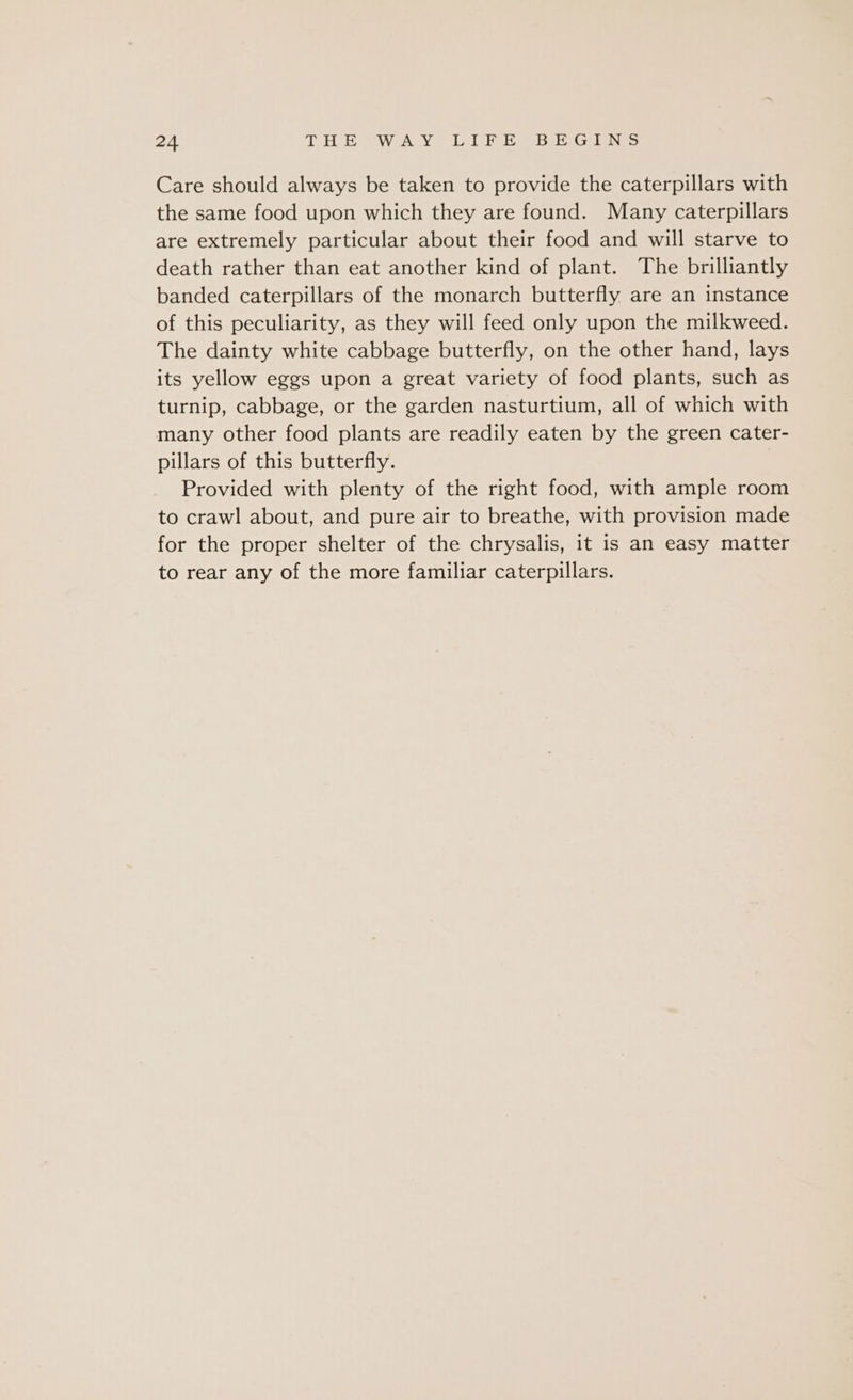 Care should always be taken to provide the caterpillars with the same food upon which they are found. Many caterpillars are extremely particular about their food and will starve to death rather than eat another kind of plant. The brilliantly banded caterpillars of the monarch butterfly are an instance of this peculiarity, as they will feed only upon the milkweed. The dainty white cabbage butterfly, on the other hand, lays its yellow eggs upon a great variety of food plants, such as turnip, cabbage, or the garden nasturtium, all of which with many other food plants are readily eaten by the green cater- pillars of this butterfly. Provided with plenty of the right food, with ample room to crawl about, and pure air to breathe, with provision made for the proper shelter of the chrysalis, it is an easy matter to rear any of the more familiar caterpillars.