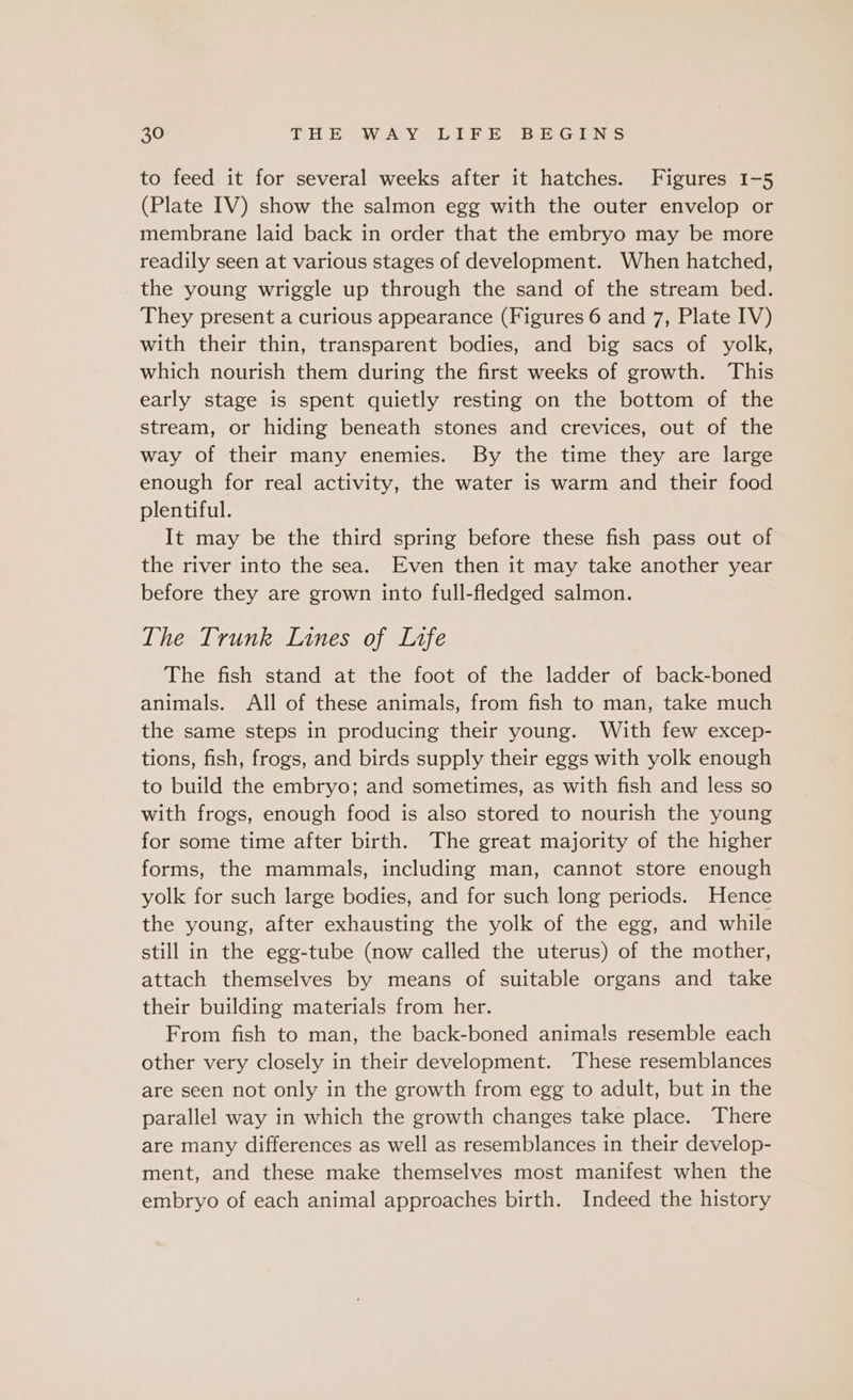 to feed it for several weeks after it hatches. Figures 1-5 (Plate IV) show the salmon egg with the outer envelop or membrane laid back in order that the embryo may be more readily seen at various stages of development. When hatched, the young wriggle up through the sand of the stream bed. They present a curious appearance (Figures 6 and 7, Plate IV) with their thin, transparent bodies, and big sacs of yolk, which nourish them during the first weeks of growth. This early stage is spent quietly resting on the bottom of the stream, or hiding beneath stones and crevices, out of the way of their many enemies. By the time they are large enough for real activity, the water is warm and their food plentiful. It may be the third spring before these fish pass out of the river into the sea. Even then it may take another year before they are grown into full-fledged salmon. The Trunk Lines of Lrfe The fish stand at the foot of the ladder of back-boned animals. All of these animals, from fish to man, take much the same steps in producing their young. With few excep- tions, fish, frogs, and birds supply their eggs with yolk enough to build the embryo; and sometimes, as with fish and less so with frogs, enough food is also stored to nourish the young for some time after birth. The great majority of the higher forms, the mammals, including man, cannot store enough yolk for such large bodies, and for such long periods. Hence the young, after exhausting the yolk of the egg, and while still in the egg-tube (now called the uterus) of the mother, attach themselves by means of suitable organs and take their building materials from her. From fish to man, the back-boned animals resemble each other very closely in their development. These resemblances are seen not only in the growth from egg to adult, but in the parallel way in which the growth changes take place. There are many differences as well as resemblances in their develop- ment, and these make themselves most manifest when the embryo of each animal approaches birth. Indeed the history