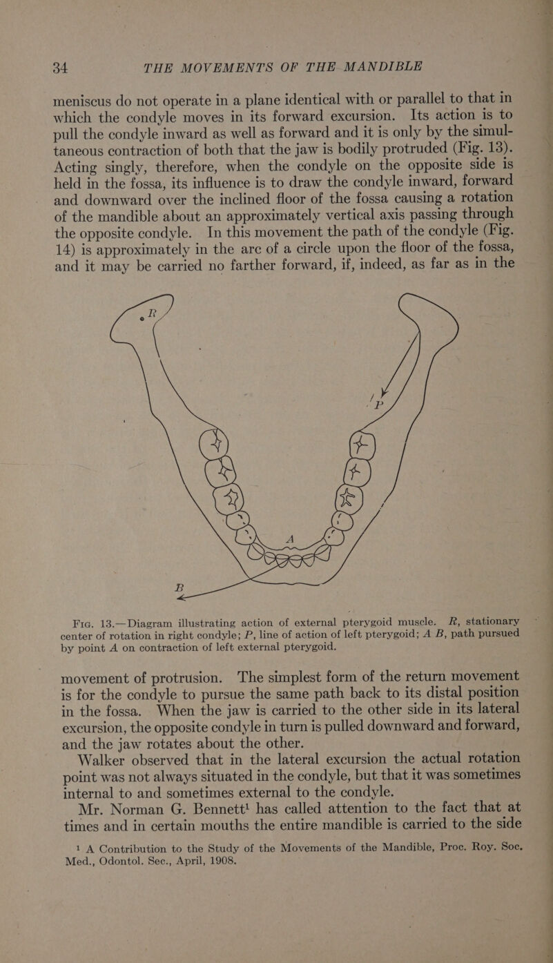 meniscus do not operate in a plane identical with or parallel to that in which the condyle moves in its forward excursion. Its action is to pull the condyle inward as well as forward and it is only by the simul- taneous contraction of both that the jaw is bodily protruded (Fig. 13). Acting singly, therefore, when the condyle on the opposite side 1s held in the fossa, its influence is to draw the condyle inward, forward and downward over the inclined floor of the fossa causing a rotation of the mandible about an approximately vertical axis passing through the opposite condyle. In this movement the path of the condyle (Fig. 14) is approximately in the arc of a circle upon the floor of the fossa, and it may be carried no farther forward, if, indeed, as far as in the Fic. 13.—Diagram illustrating action of external pterygoid muscle. R, stationary center of rotation in right condyle; P, line of action of left pterygoid; A B, path pursued by point A on contraction of left external pterygoid. movement of protrusion. The simplest form of the return movement is for the condyle to pursue the same path back to its distal position in the fossa. When the jaw is carried to the other side in its lateral excursion, the opposite condyle in turn is pulled downward and forward, and the jaw rotates about the other. Walker observed that in the lateral excursion the actual rotation point was not always situated in the condyle, but that it was sometimes internal to and sometimes external to the condyle. Mr. Norman G. Bennett! has called attention to the fact that at times and in certain mouths the entire mandible is carried to the side 1 A Contribution to the Study of the Movements of the Mandible, Proc. Roy. Soc. Med., Odontol. See., April, 1908. —— a