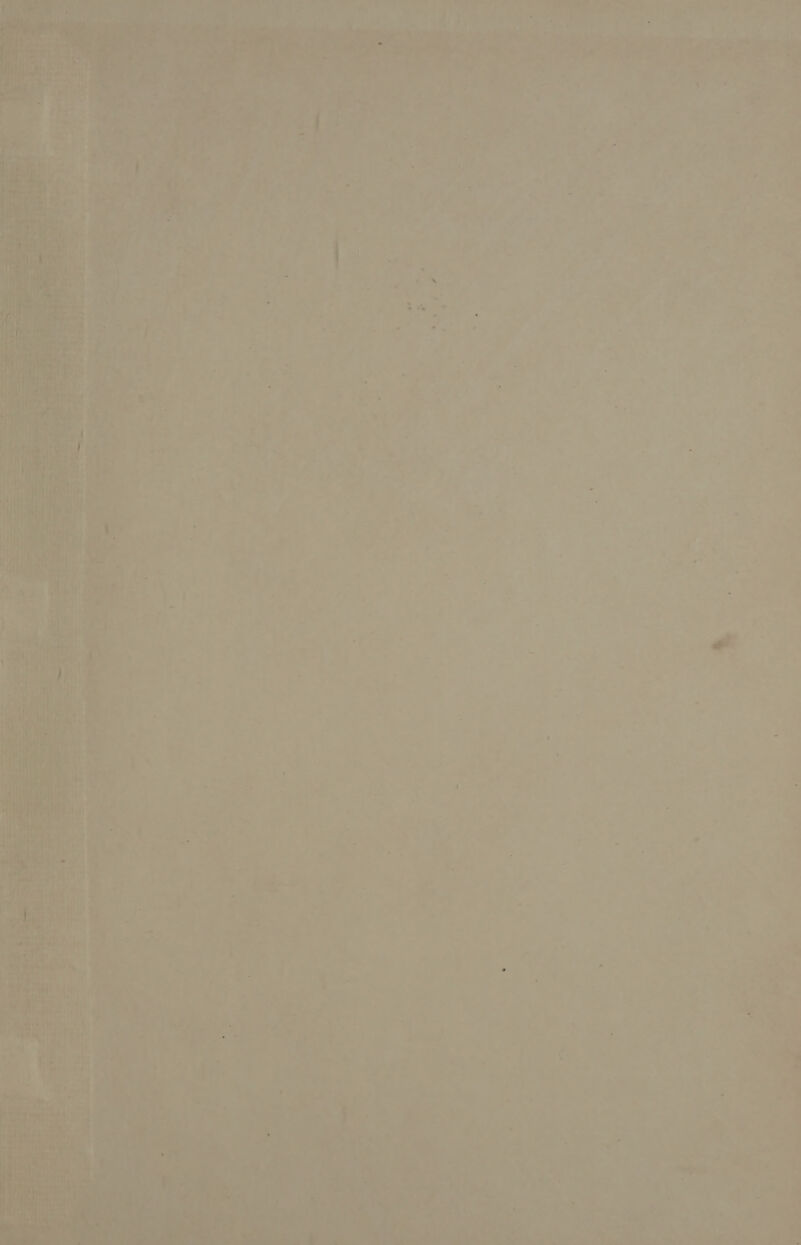 aot ue A Pi ouut ian ee, Sax “ol : &gt; —- Se ae Oe mits feet ae ee gl nl