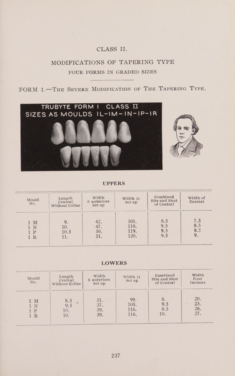 MODIFICATIONS OF TAPERING TYPE FOUR FORMS IN GRADED SIZES FORM 1.—THE SEVERE MODIFICATION OF THE TAPERING TYPE. UPPERS Mould Length ee Width 14 some Width of ae migiiec oie : ange See er ee Senlaet 1M 9 42. 101. S25 a9 1N 10 47 110 9.5 8.5 Loe 15) 50. 119. 9.5 Ss De ul Sis 120. 9.5 9. LOWERS 1 th Width 1 Combined Widtl pa Cental 6 Bntetions eae Hite andi Shut Hour’ Without Collar Set up of Central Incisors 1M oe Ske. 99. 8 20. 1N 9.5 ot 10S. 9.5 Tey l= P LO: 39. 116. 8.5 26. oR 10. 39. 116. 10; OaLES 201