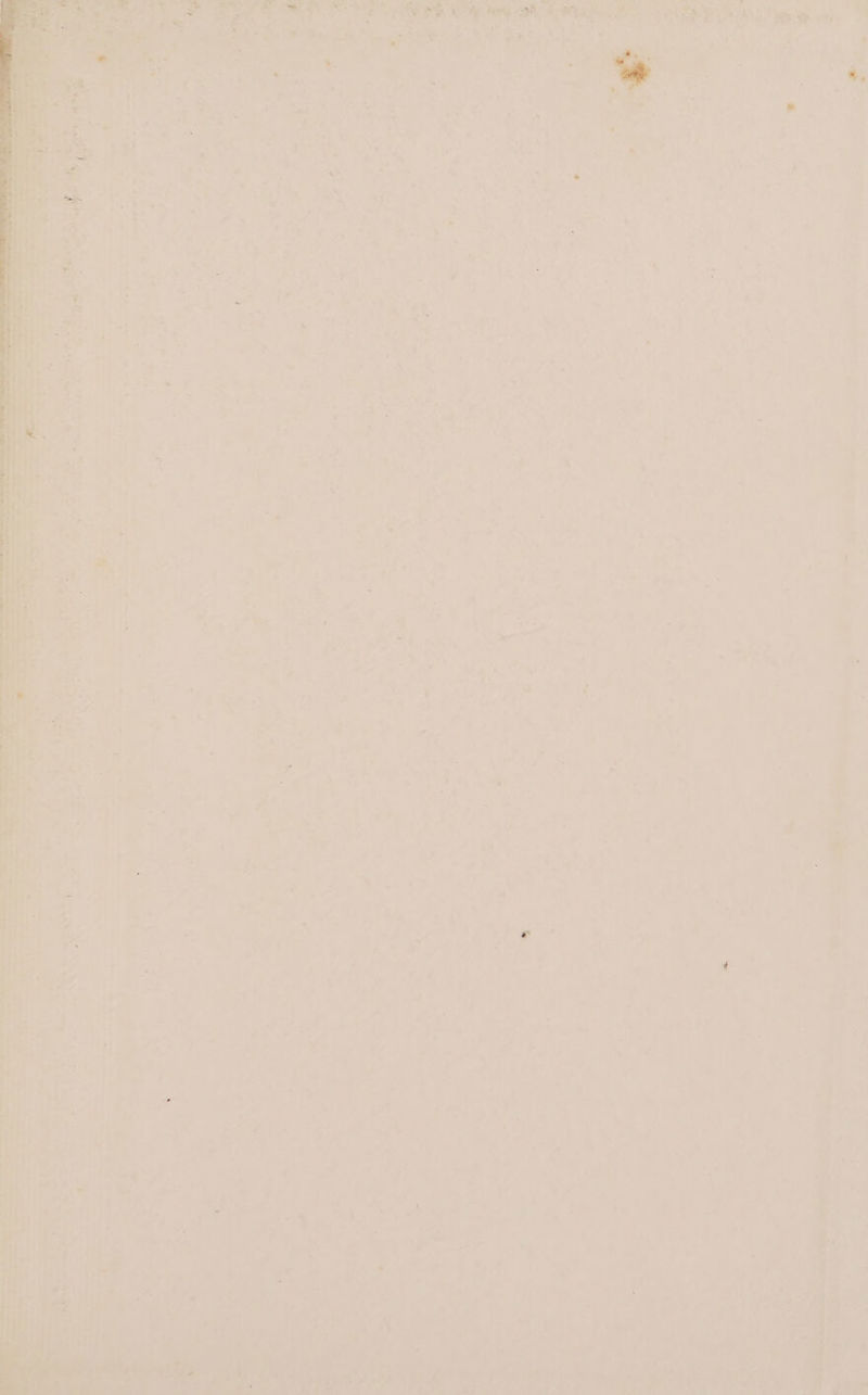 ae hts tis han ¥ il % ry aa A fing sere! bd gone — =. Oe alt Rs rs oa lems gi Peete Ee Saas ae ern tn = wn