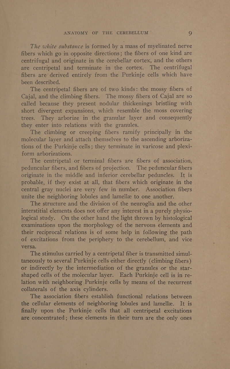 The white substance is formed by a mass of myelinated nerve fibers which go in opposite directions; the fibers of one kind are centrifugal and originate in the cerebellar cortex, and the others are centripetal and terminate in the cortex. The centrifugal fibers are’ derived entirely from the Purkinje cells which have been described. The centripetal fibers are of two kinds: the mossy fibers of Cajal, and the climbing fibers. The mossy fibers of Cajal are so called because they present nodular thickenings bristling with short divergent expansions, which resemble the moss covering trees. They arborize in the granular layer and consequently they enter into relations with the granules. The climbing or creeping fibers ramify principally in the molecular layer and attach themselves to the ascending arboriza- tions of the Purkinje cells; they terminate in varicose and plexi- form arborizations. | The centripetal or terminal fibers are fibers of association, peduncular fibers, and fibers of projection. The peduncular fibers originate in the middle and inferior cerebellar peduncles. It is probable, if they exist at all, that fibers which originate in the central gray nuclei are very few in number. Association fibers unite the neighboring lobules and lamellz to one another. The structure and the division of the neuroglia and the other interstitial elements does not offer any interest in a purely physio- logical study. On the other hand the light thrown by histological examinations upon the morphology of the nervous elements and their reciprocal relations is of some help in following the path of excitations from the periphery to the cerebellum, and vice versa. , The stimulus carried by a centripetal fiber is transmitted simul- taneously to several Purkinje cells either directly (climbing fibers) or indirectly by the intermediation of the granules or the star- shaped cells of the molecular layer. Each Purkinje cell is in re- lation with neighboring Purkinje cells by means of the recurrent collaterals of the axis cylinders. The association fibers establish functional relations between the cellular elements of neighboring lobules and lamelle. It is finally upon the Purkinje cells that all centripetal excitations are concentrated; these elements in their turn are the only ones